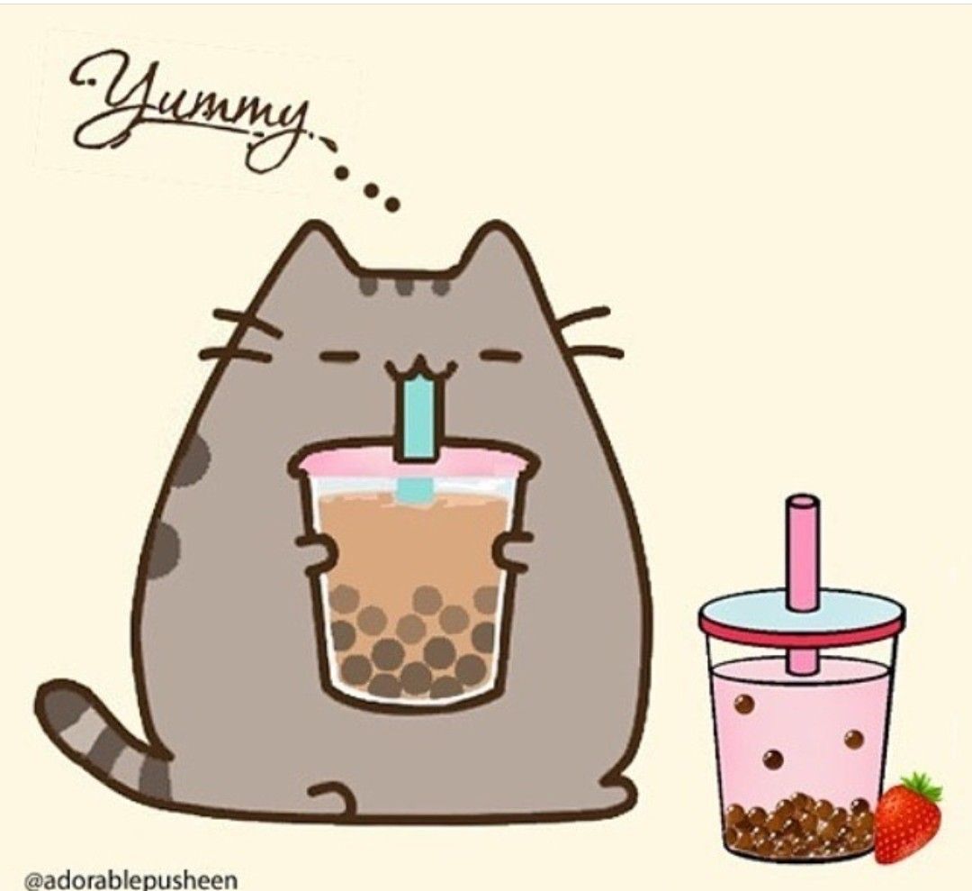 Cat Drinking Boba Wallpapers - Wallpaper Cave