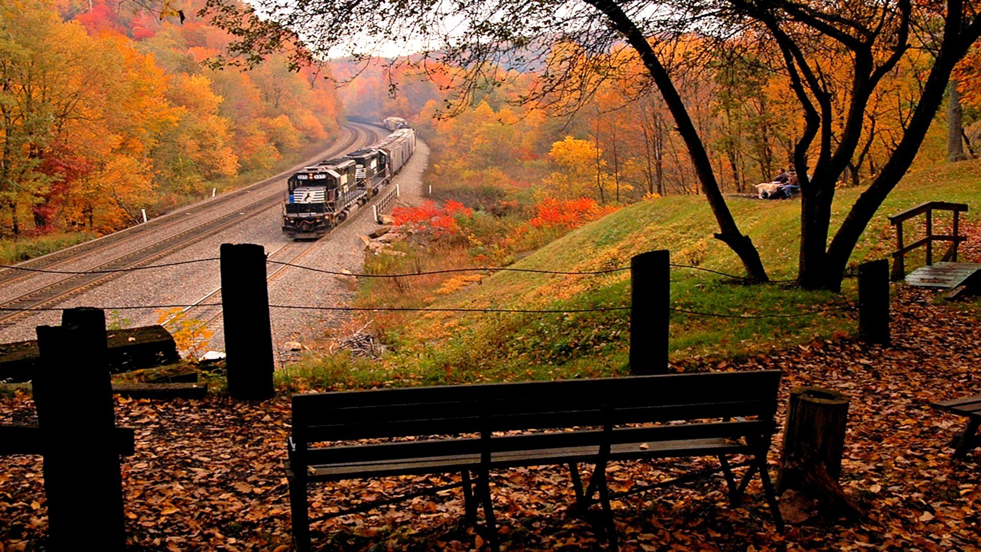 Long Train Running Through Autumn Landscape