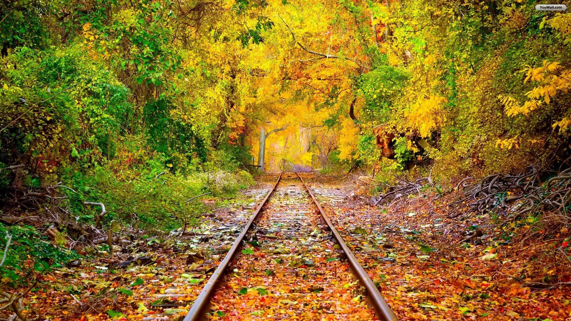 Autumn Train 1920x1080 Wallpapers - Wallpaper Cave