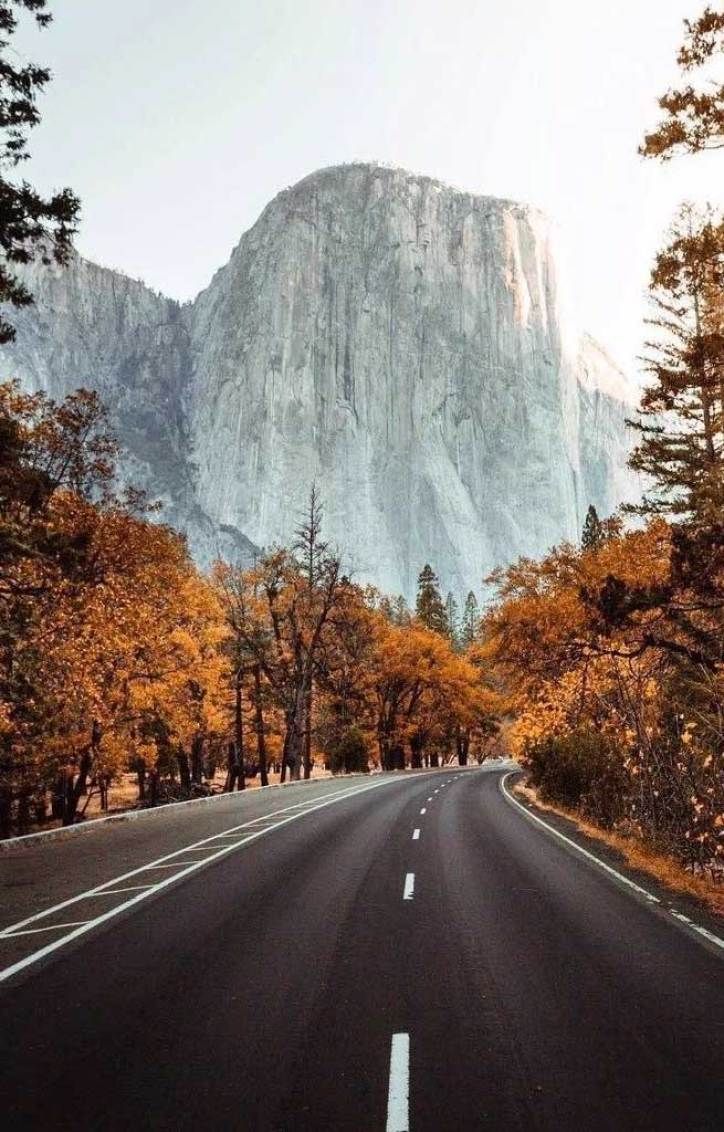 beautiful autumn image, autumn image free, autumn aesthetic, fall aesthethic, fall image, beautiful. Nature photography, Scenery, California national parks