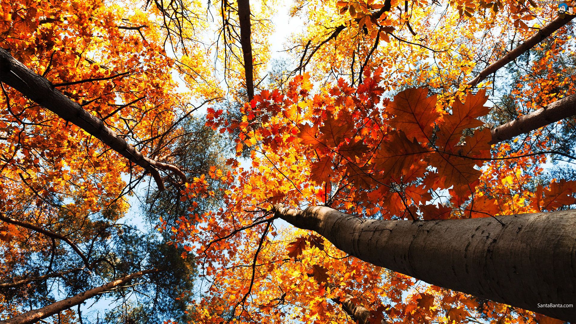 Autumn Outdoors Wallpapers - Wallpaper Cave