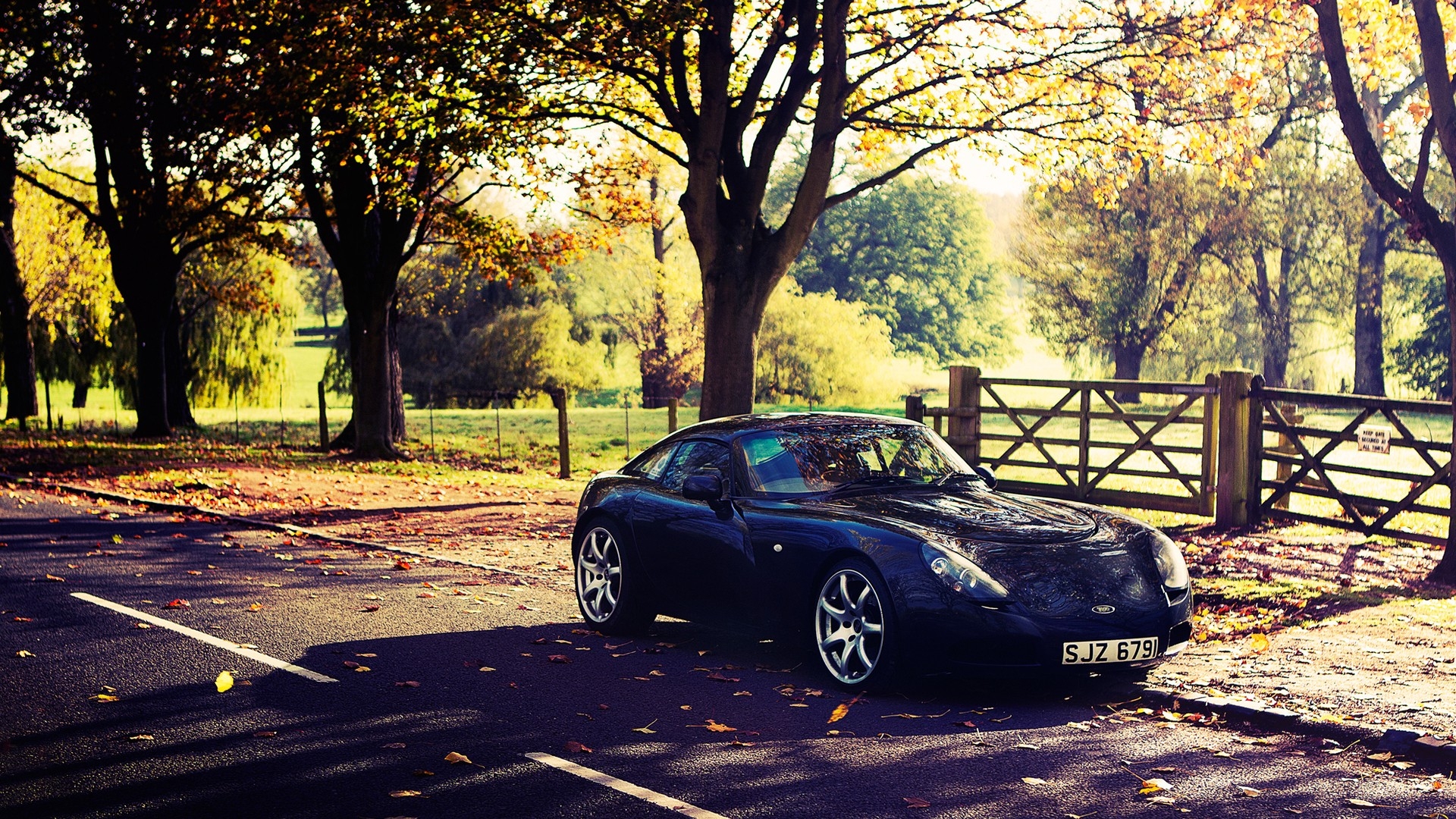 nature autumn season cars outdoors tvr t350 1920x1080 wallpaper High Quality Wallpaper, High Definition Wallpaper