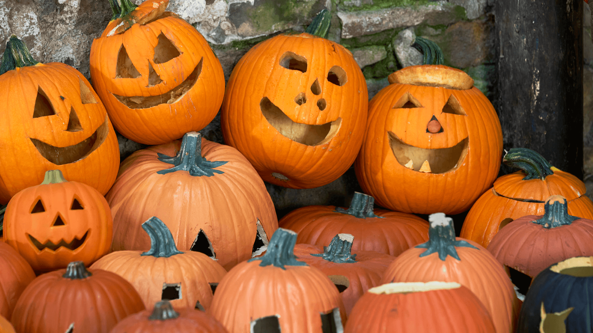 Halloween Zoom Background