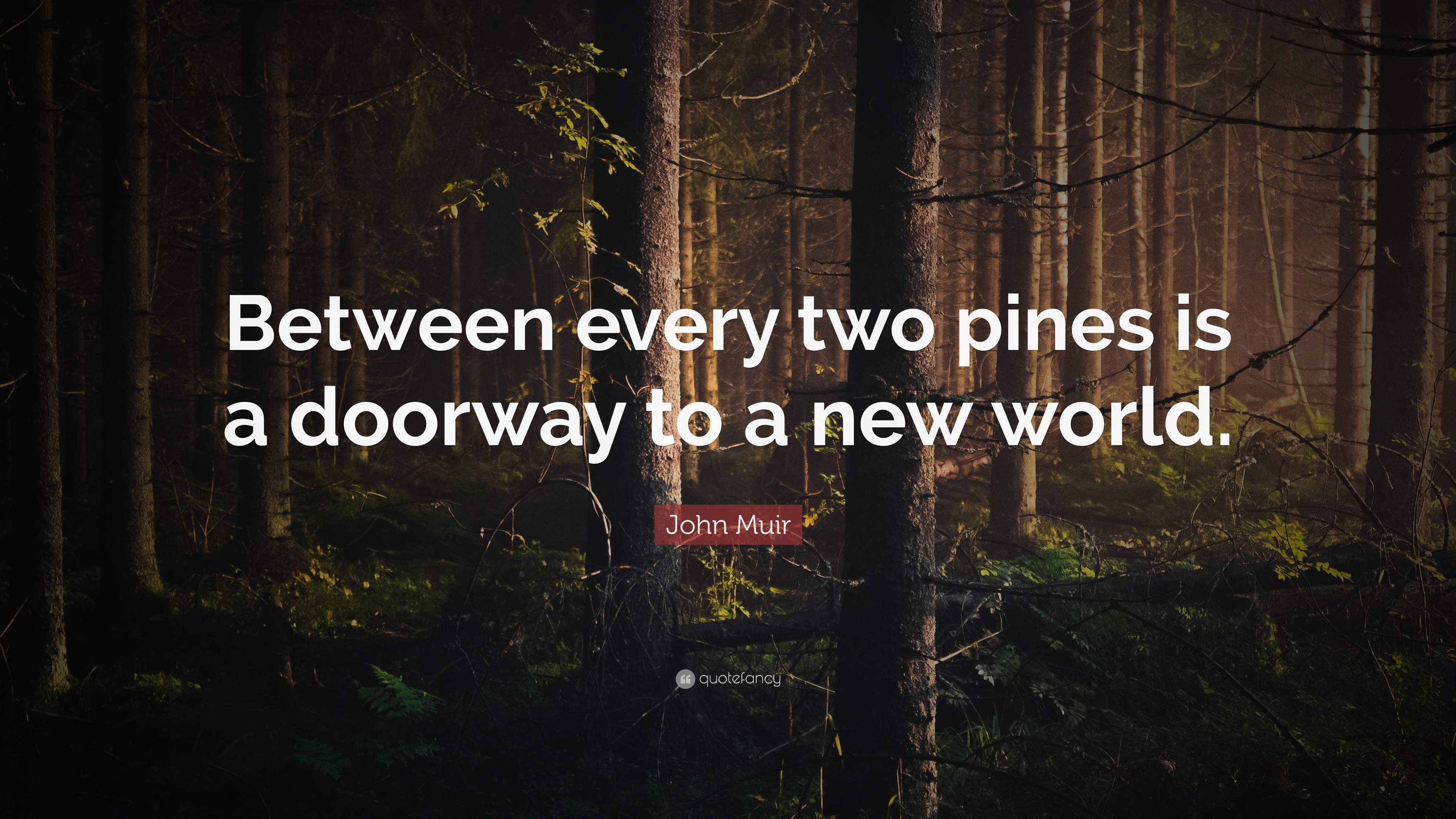 John Muir Quotes (2021 Update)