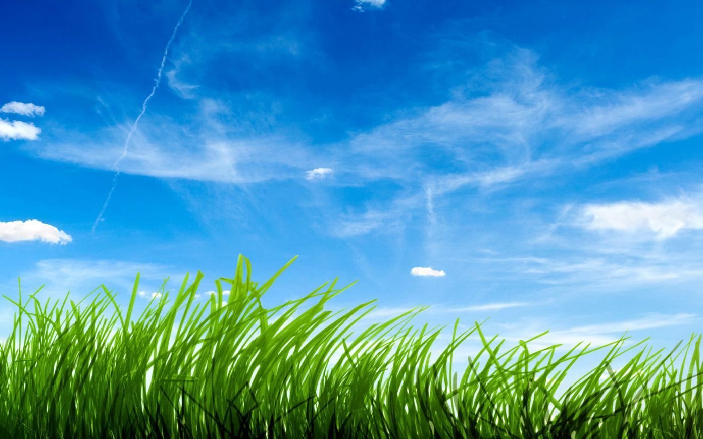 Grass Wallpaper. Zone Wallpaper Background. Best home screen wallpaper, Wallpaper background landscape, Blue sky wallpaper