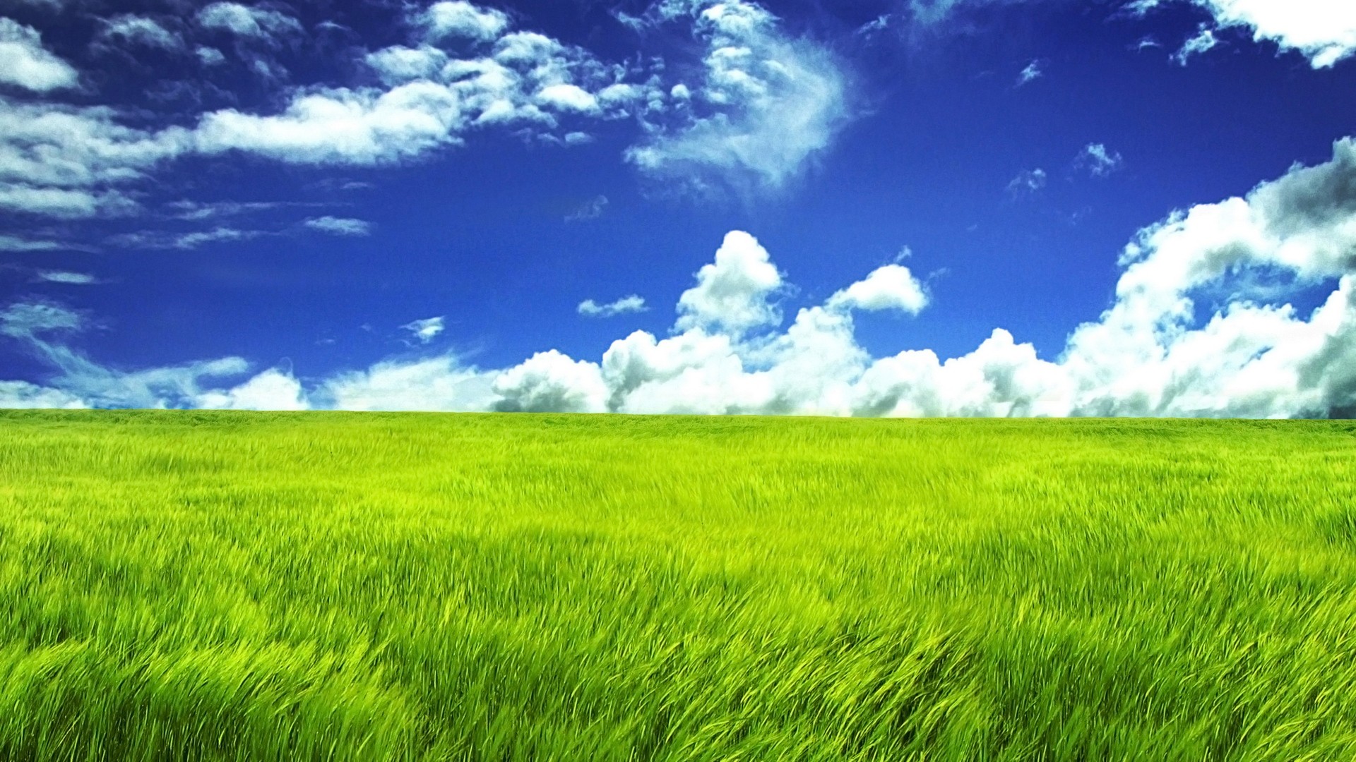 Wallpaper, sunlight, nature, sky, horizon, grassland, plant, pasture, agriculture, meadow, plain, lawn, prairie, crop, habitat, natural environment, computer wallpaper, ecosystem, grass family, paddy field 1920x1080 Wallpaper