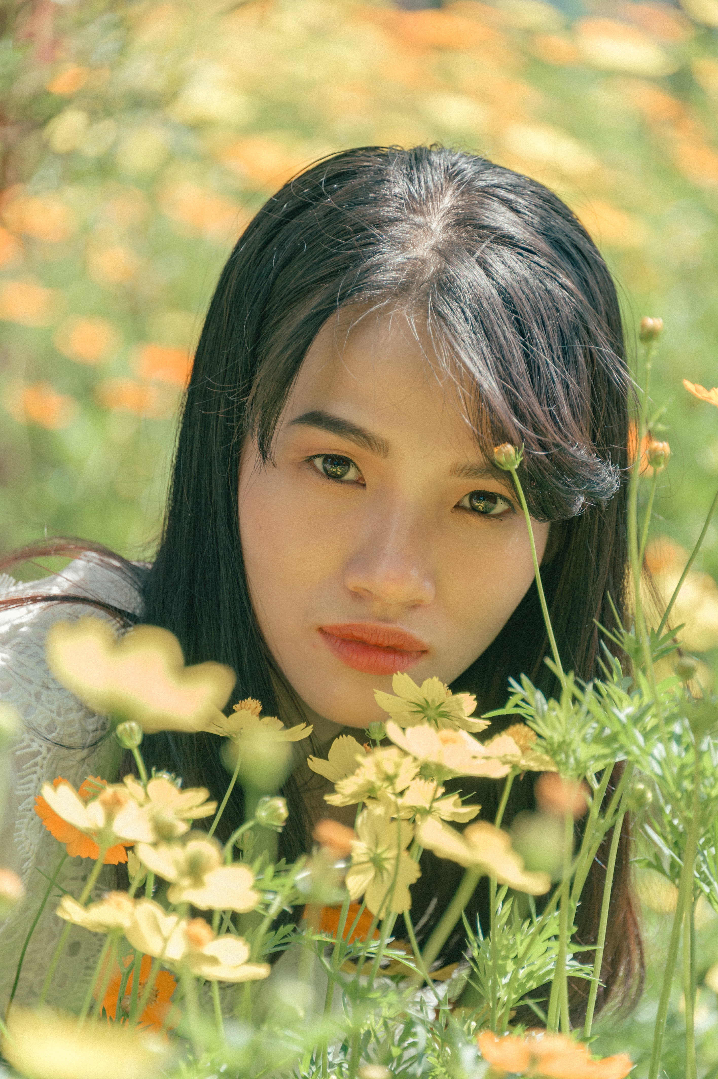 Free Image, landscape, beautiful, art, artwork, photographer, cute, lovely, wallpaper, cover, pretty, girl, beauty, cool, amazing, face, skin, lady, grass, hairstyle, eye, black hair, flower, smile, plant, long hair, brown hair