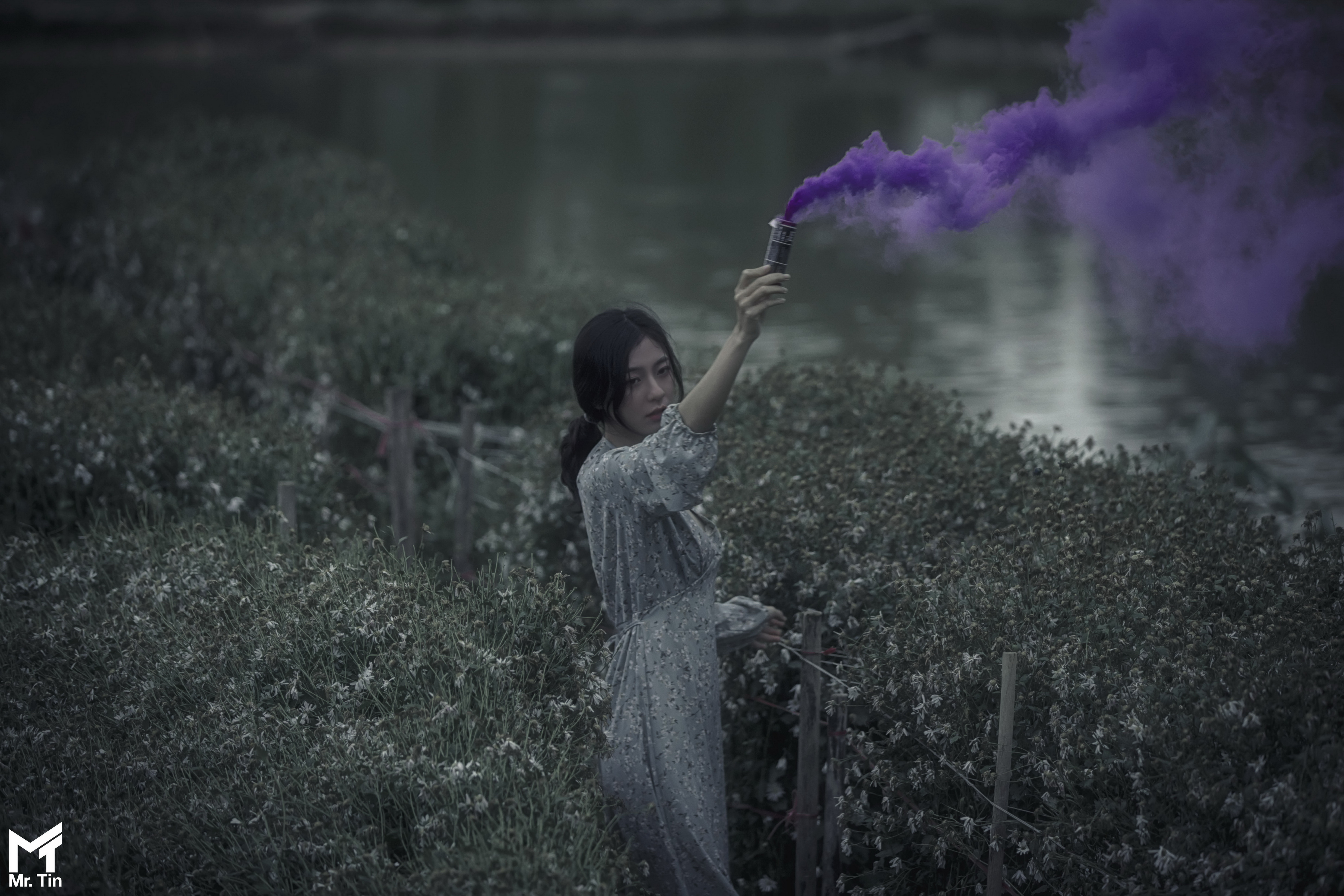 Free Image, asian, girl, model, person, woman, wallpaper, purple, lavender, atmospheric phenomenon, People in nature, violet, smoke, grass family, spring, long hair, portrait photography, daydream, fog 5800x3866