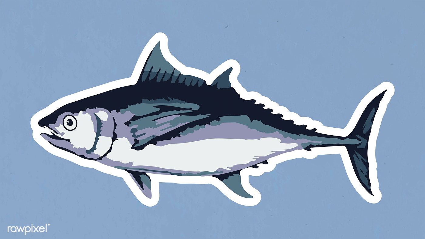 Vectorized tuna fish sticker with a white border. free image by rawpixel.com / Aew. Fish outline, Tuna fish, Animal stickers
