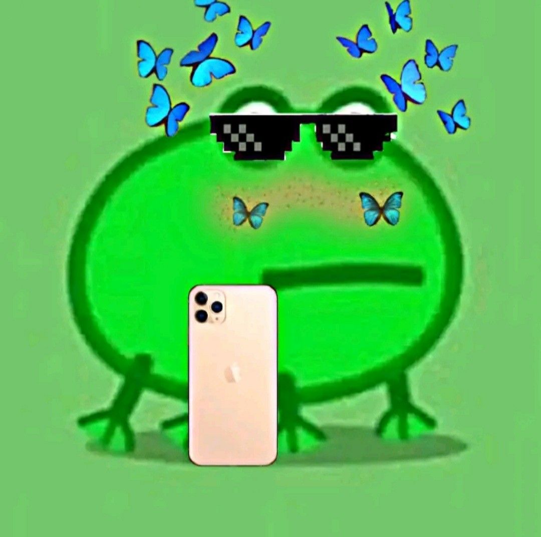 froggie. Frog meme, Cute frogs, Amazing frog