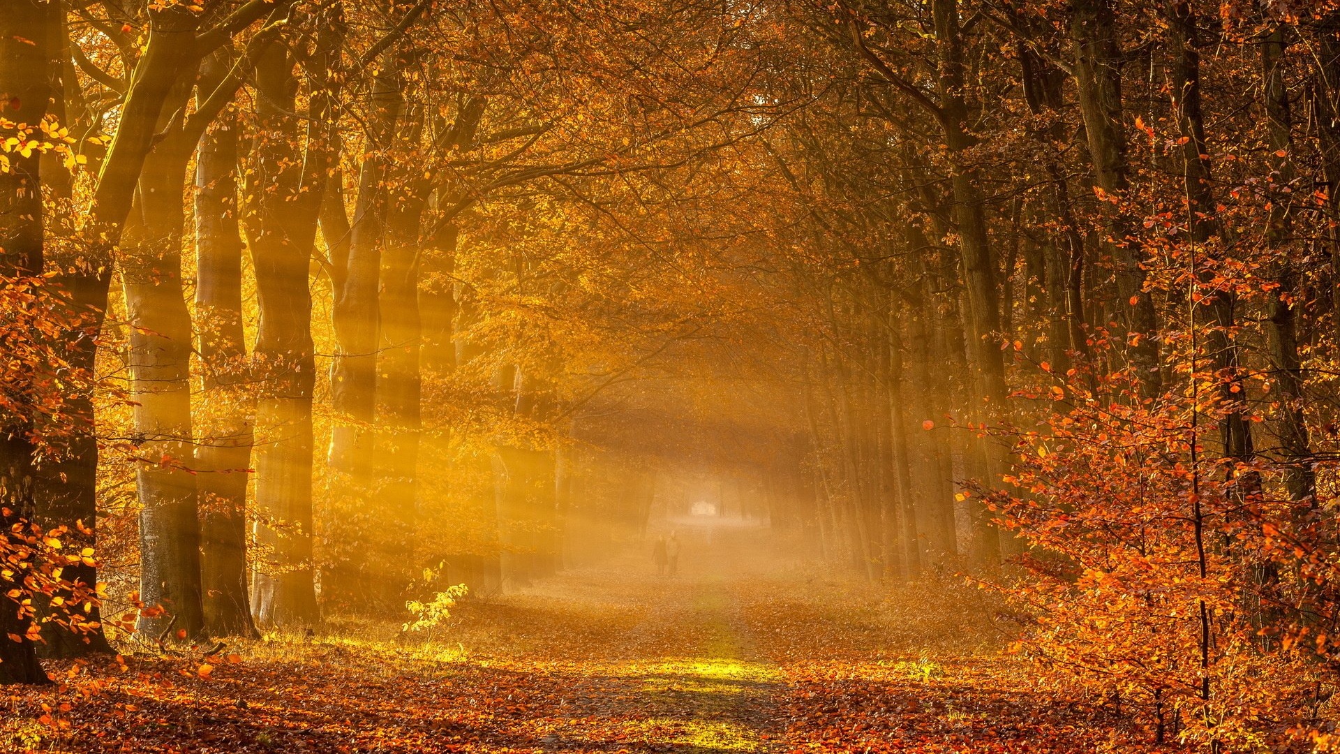 Autumn Road Sun Rays People desktop PC and Mac wallpaper