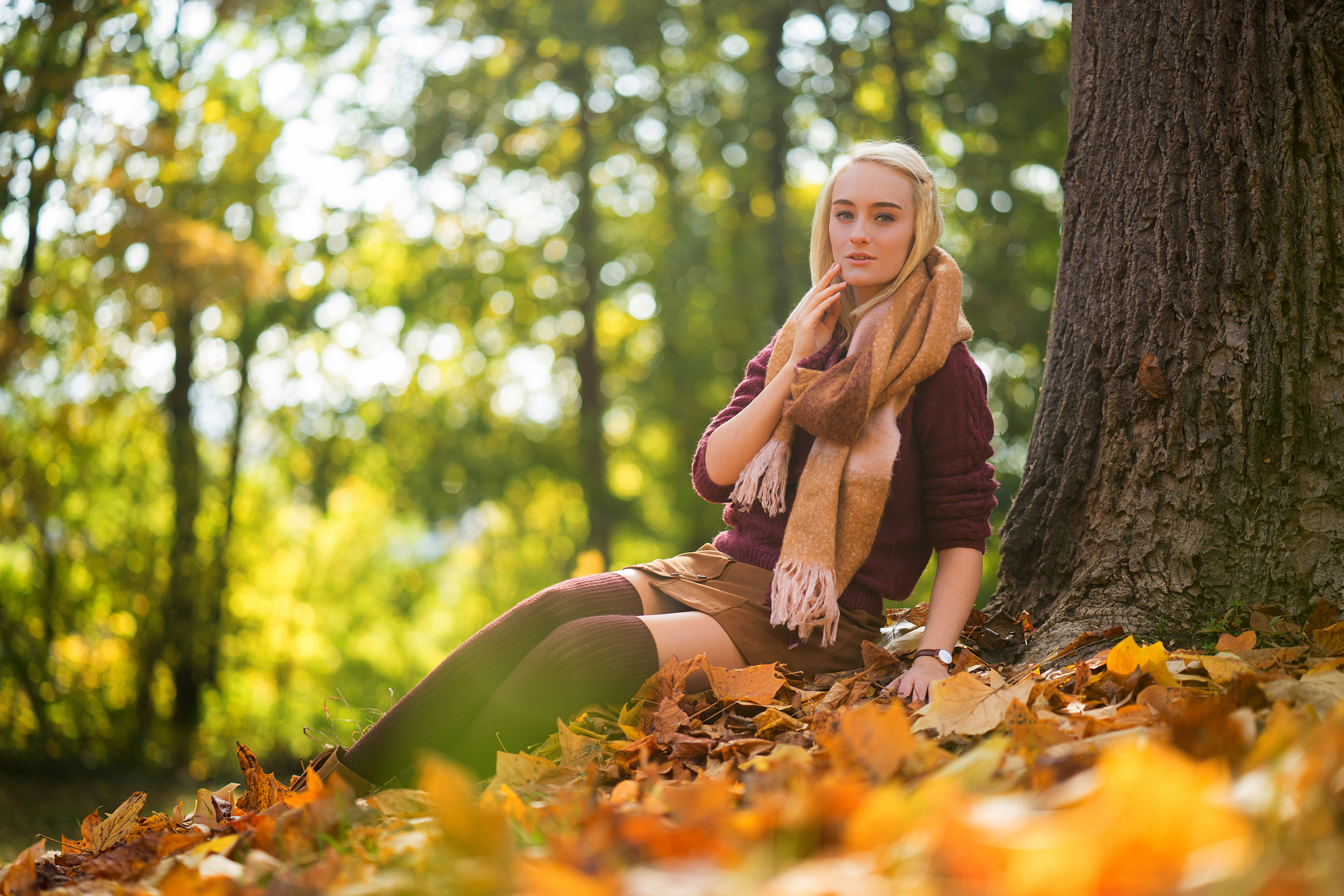 Blonde Girl Sitting Autumn 4k, HD Girls, 4k Wallpaper, Image, Background, Photo and Picture