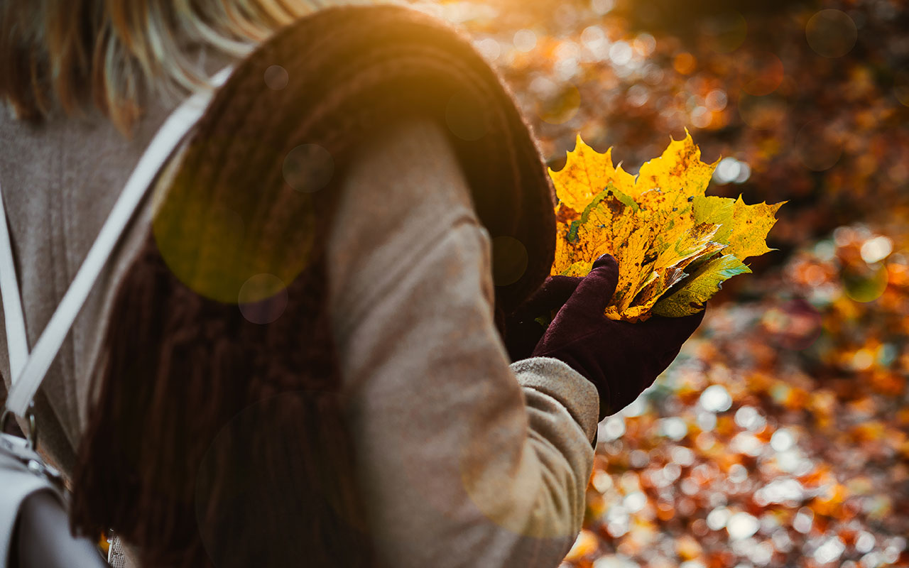 Free Thanksgiving Background