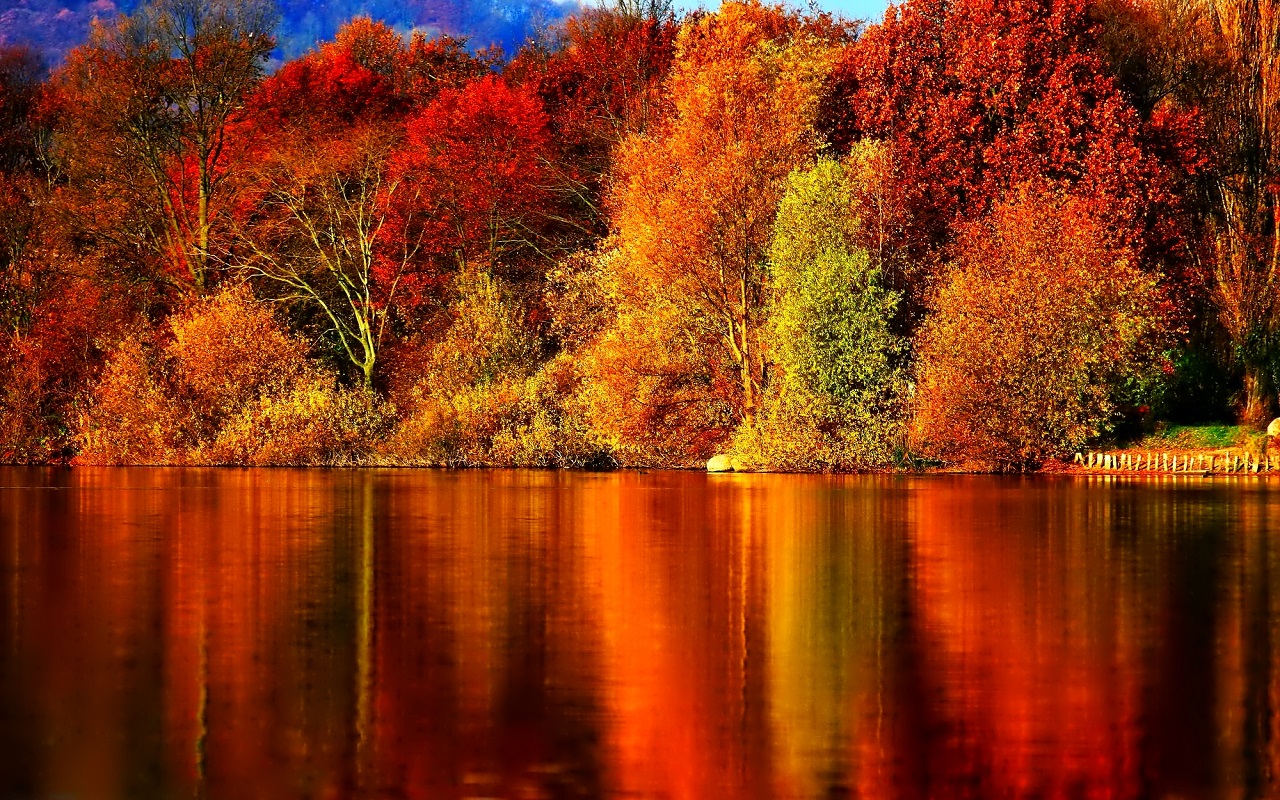 Fall Wallpaper