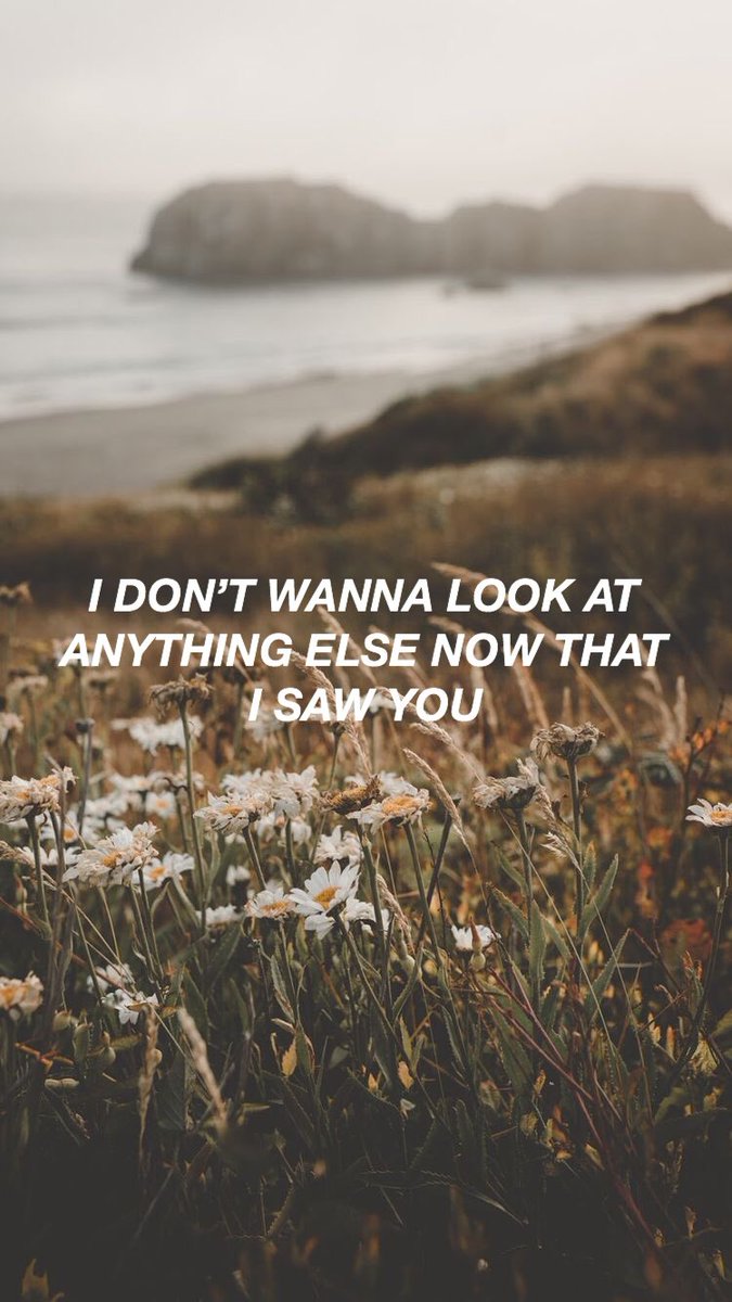 Taylor Swift Lyrics (Wallpaper)