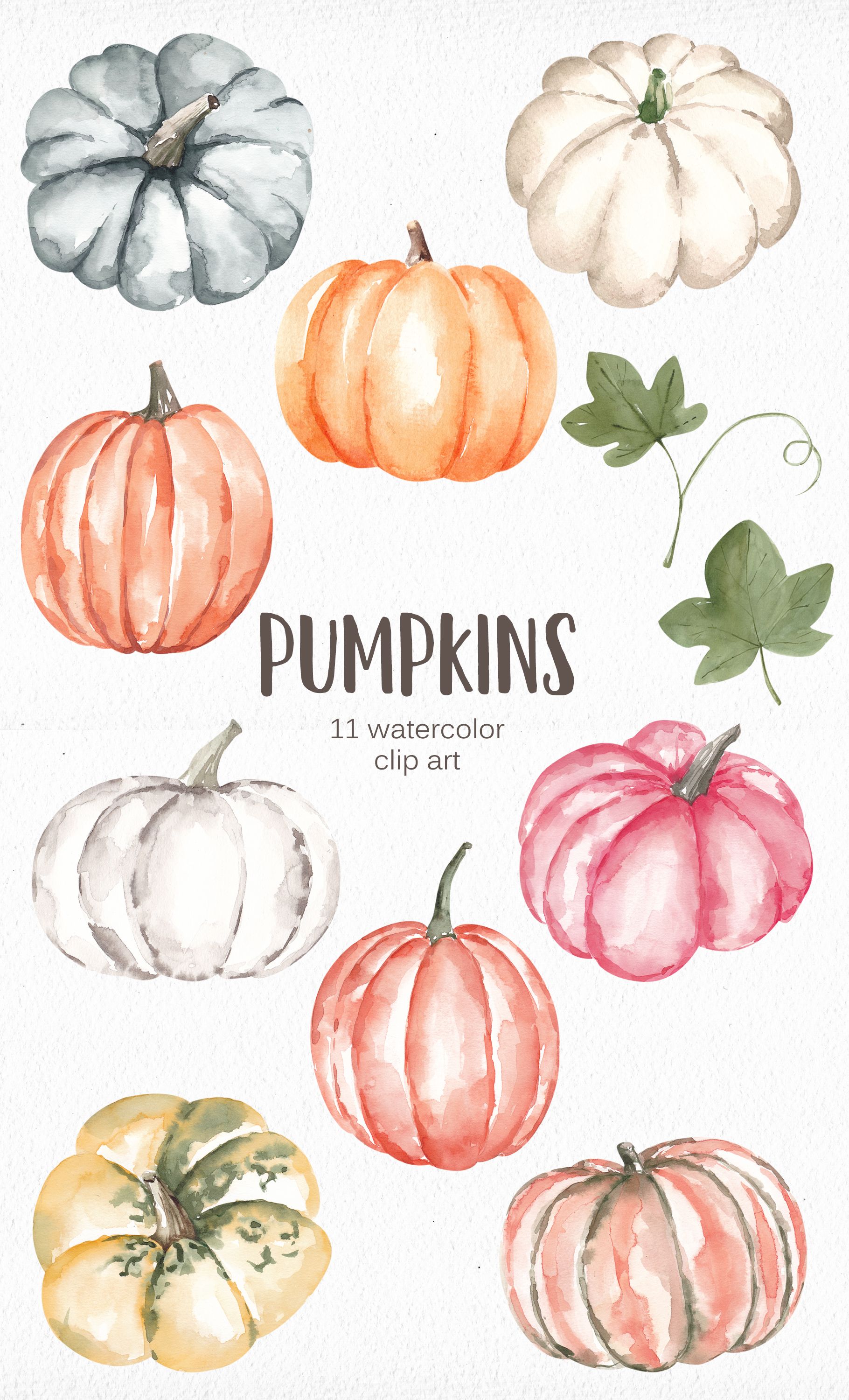 Watercolor Pumpkins Clipart, Pink, White, Blue Pumpkins, Thanksgiving Halloween Clipart, Fall Clipart PNG 47. Watercolor pumpkins, Pumpkin drawing, Fall watercolor