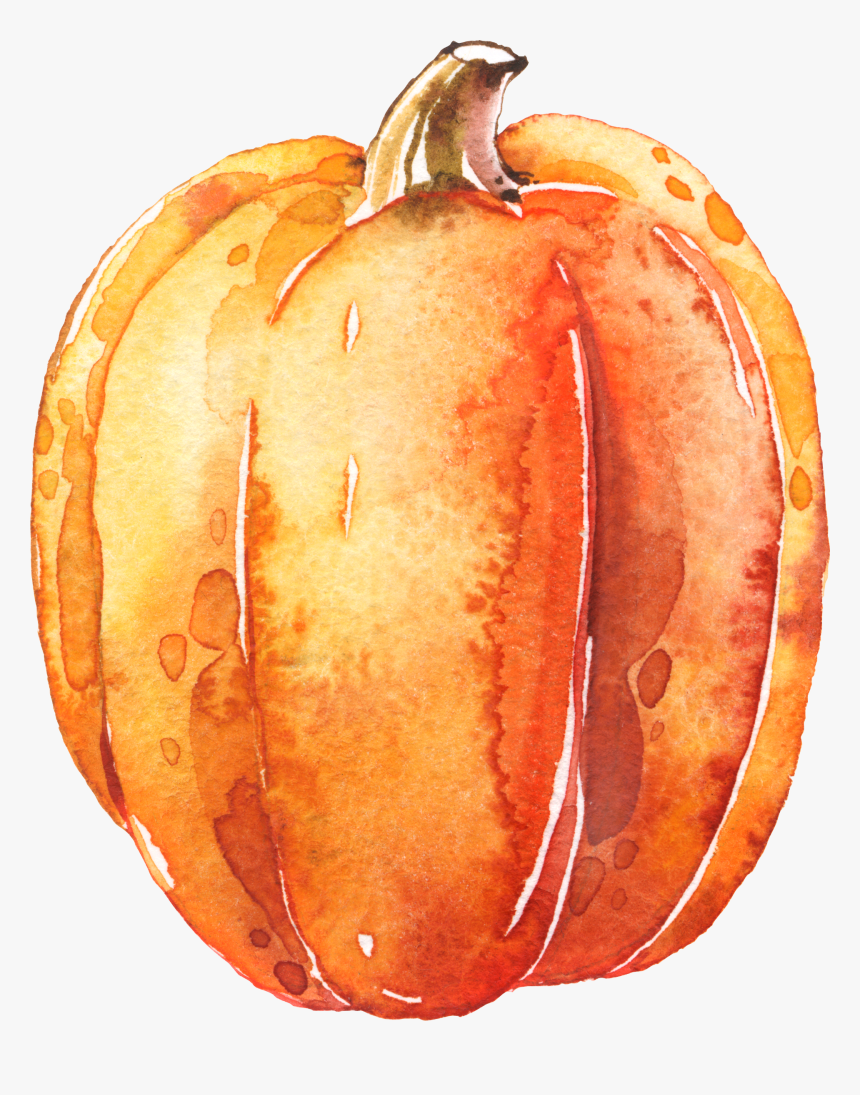 Watercolor Pumpkins Png Background Pumpkin Clipart, Png Download