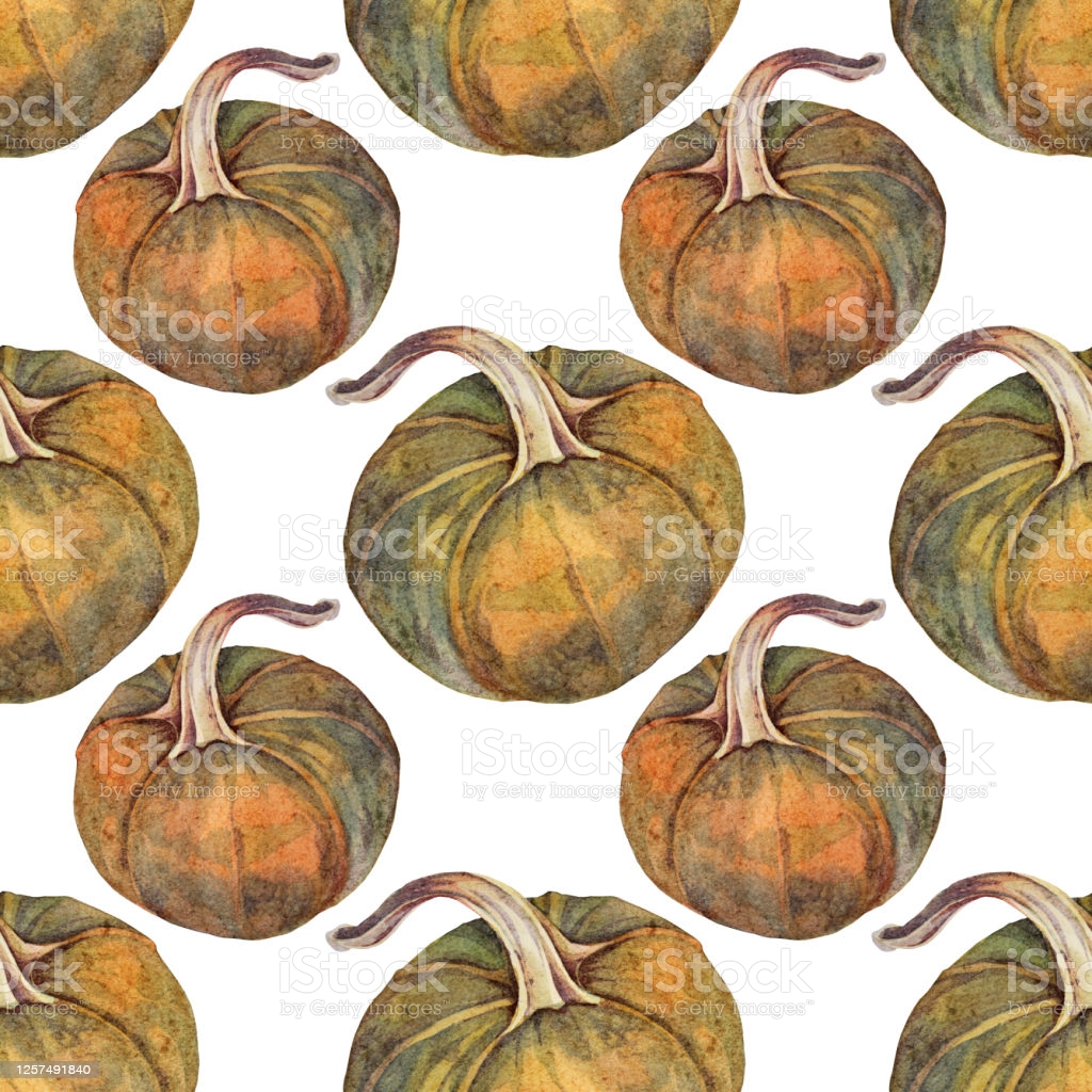 Watercolor Seamless Pattern With Autumn Vegetable Pumpkin On White Art Creative Nature Background For Card Wrapping Textile Wallpaper Florist Stock Illustration Image Now