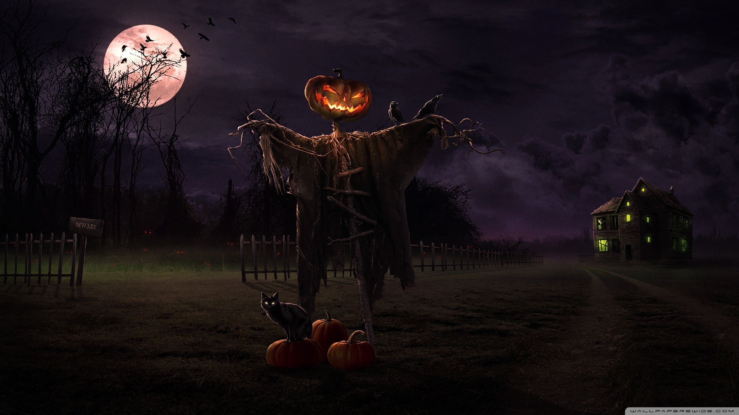 Halloween Scarecrow Desktop Wallpapers