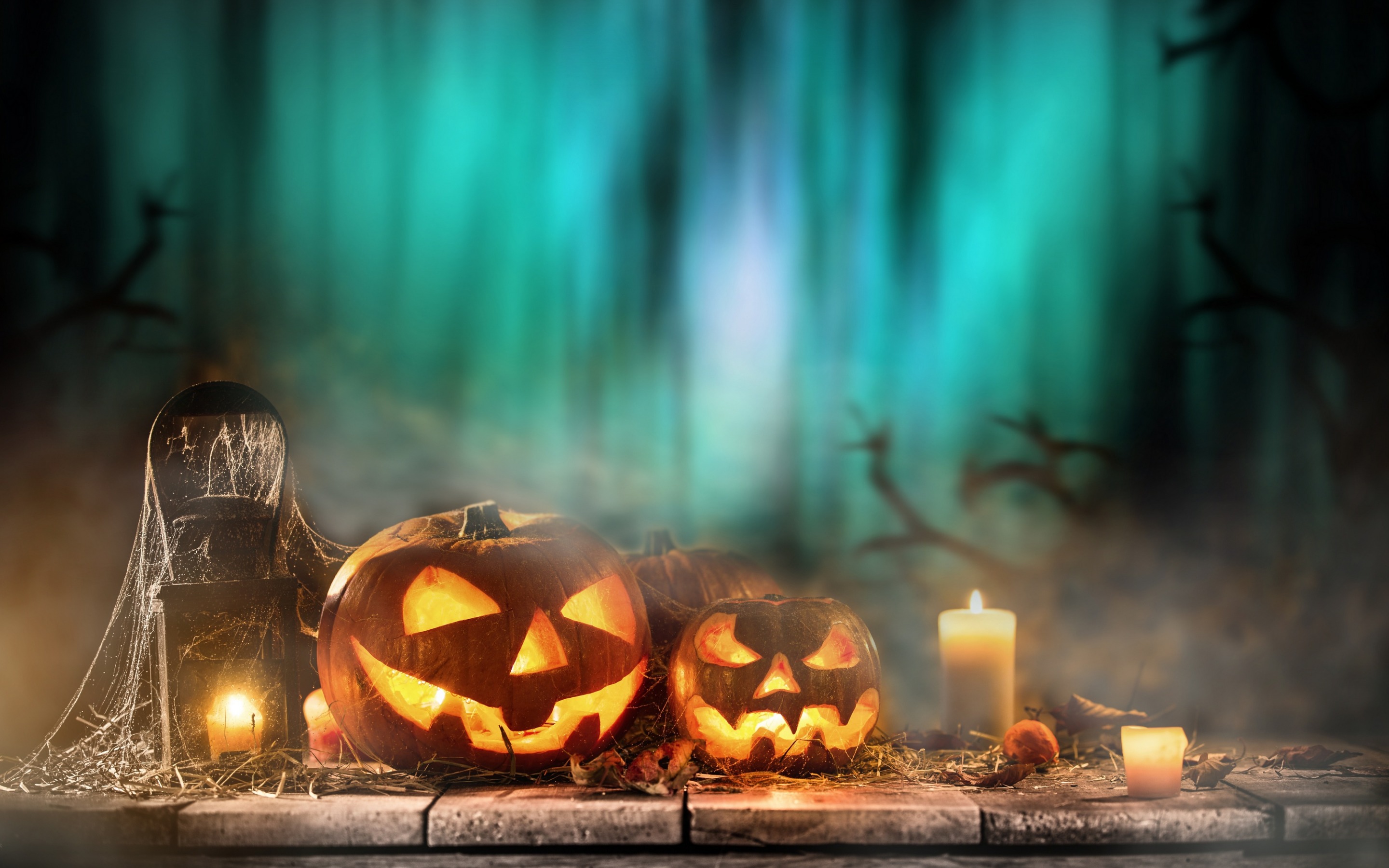 Download wallpaper Halloween, pumpkins, night, forest, candles, October autumn holidays for desktop with resolution 2880x1800. High Quality HD picture wallpaper