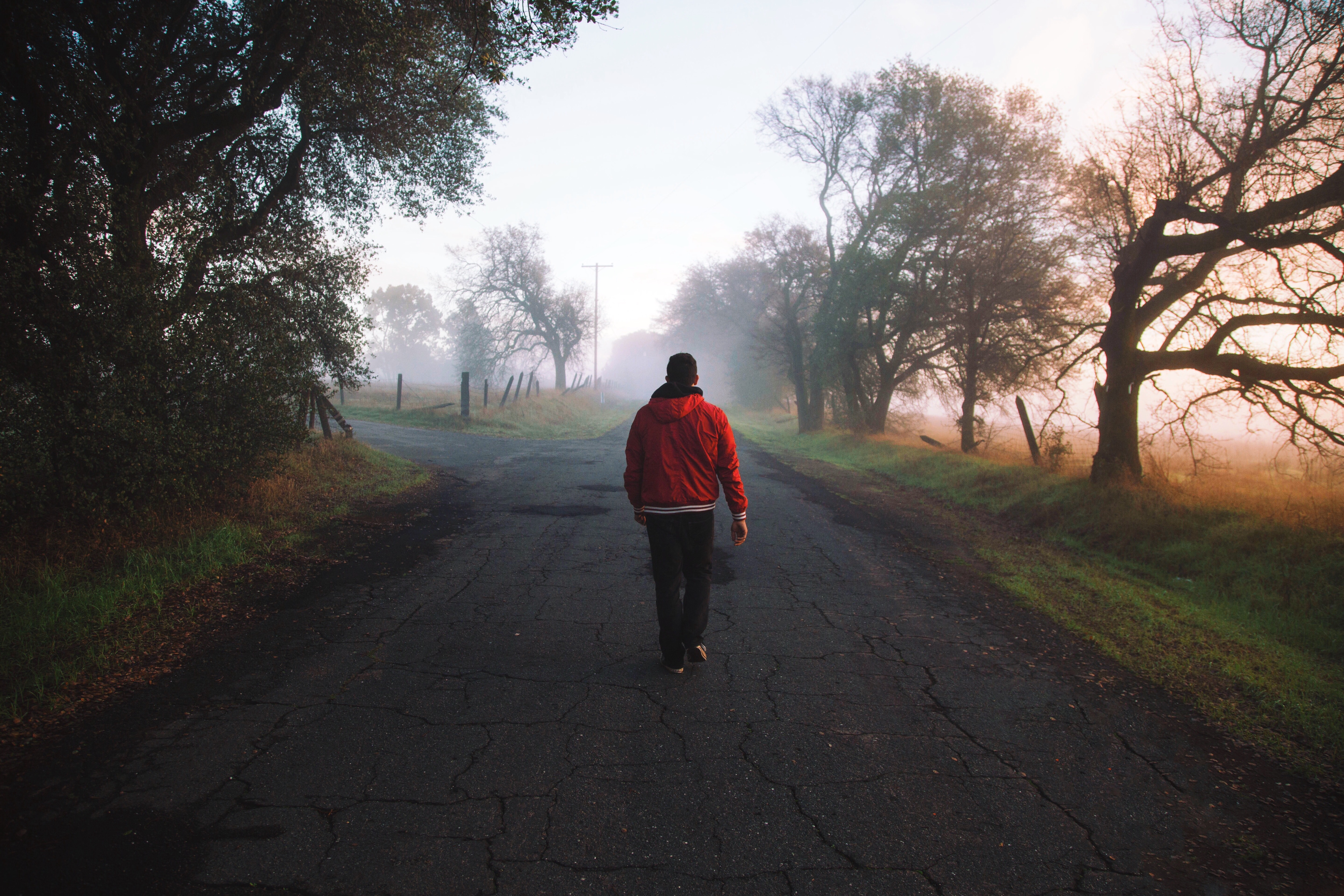 5017x3344 #walk, #hoodi, #looking out, #perspective, #jog, #sunrise, #long, #fog, #person, #tree, #man, #Free image, #road trip, #sunset, #morning, #hike, #soliltude, #isolation, #forest, #road, #red jacket. Mocah HD Wallpaper