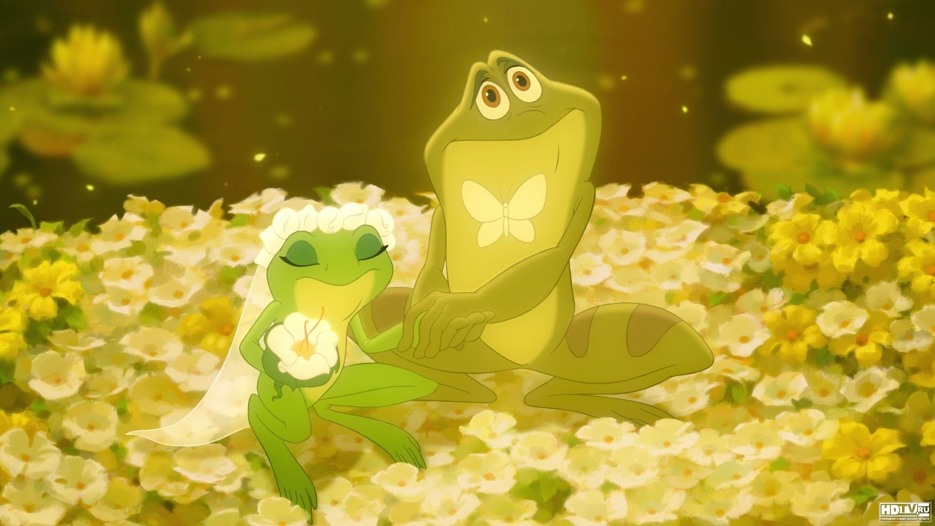 princess, And, The, Frog, Animation, Disney, Family, Fantasy, Romance, Romantic, Musical, 1princessfrog Wallpaper HD / Desktop and Mobile Background