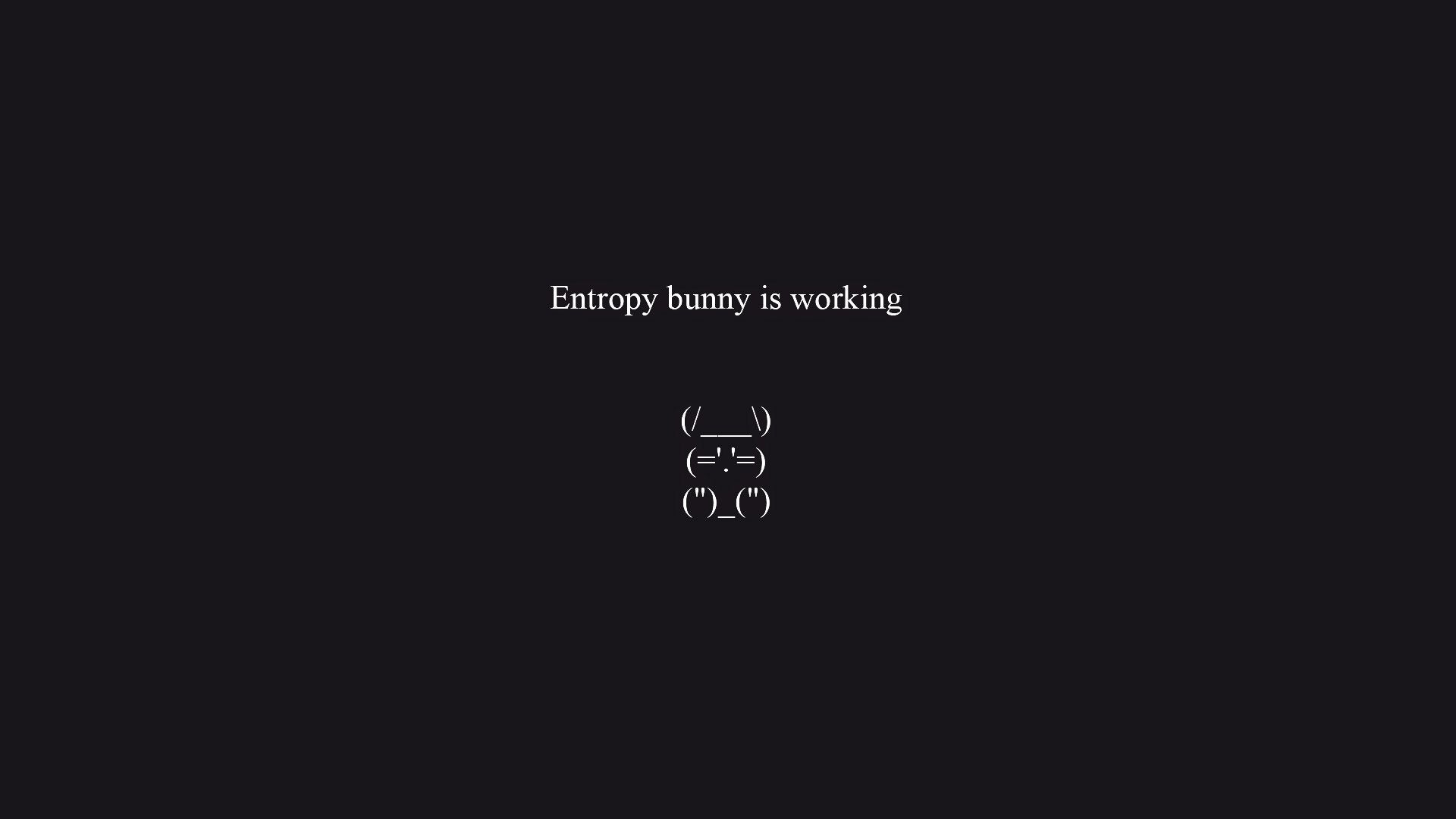 Entropy bunny is working [1920x1080]: wallpaper