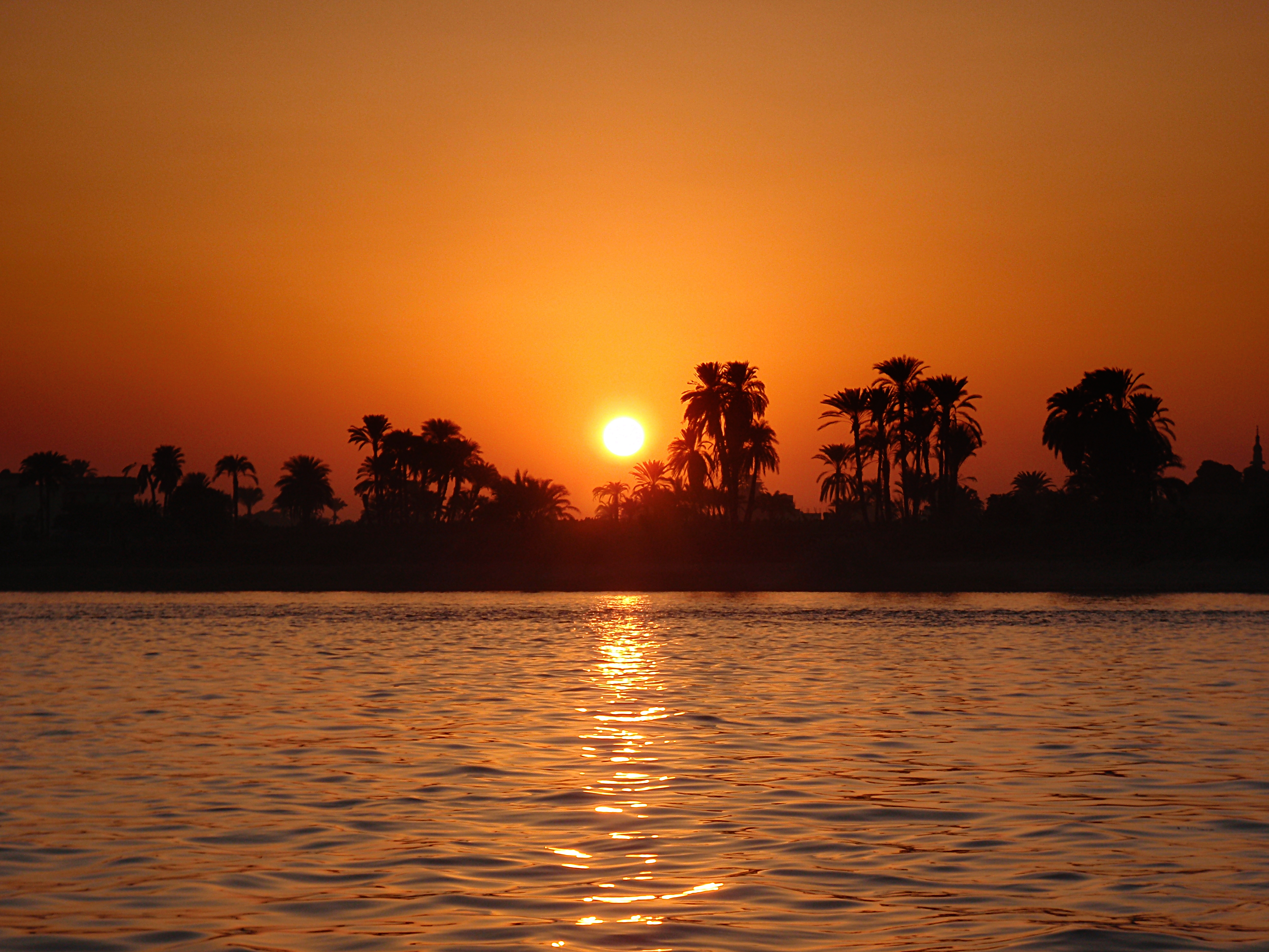 Wallpaper, trip, travel, trees, sunset, vacation, orange, Sun, holiday, reflection, tree, history, water, beautiful, river, boats, photography, boat, photo, warm, photo, Egypt, palm, Nile, palmtrees, stunning, romantic, historical, Luxor, tranquil