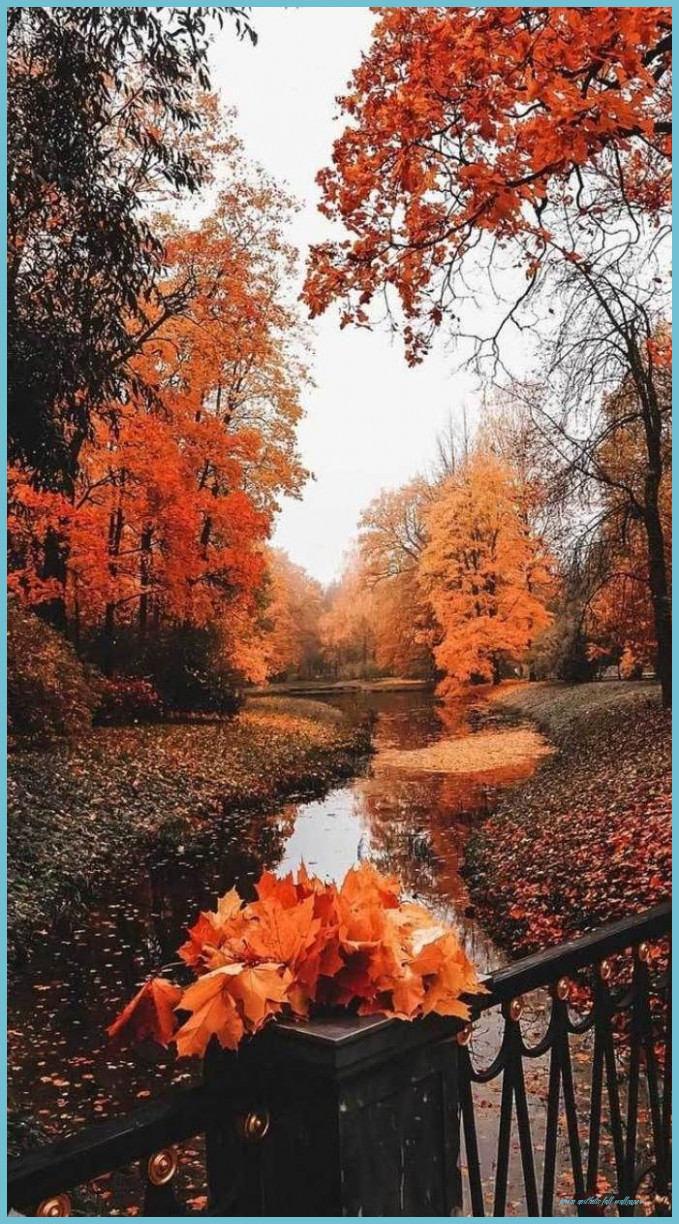 Autumn Aesthetic IPhone Wallpaper Aesthetic Fall Wallpaper