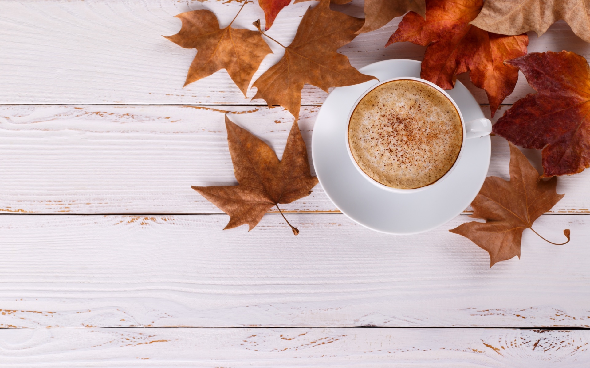 Cozy autumn morning with a cup of hot coffee Wallpaper for Widescreen Desktop PC 1920x1080 Full HD