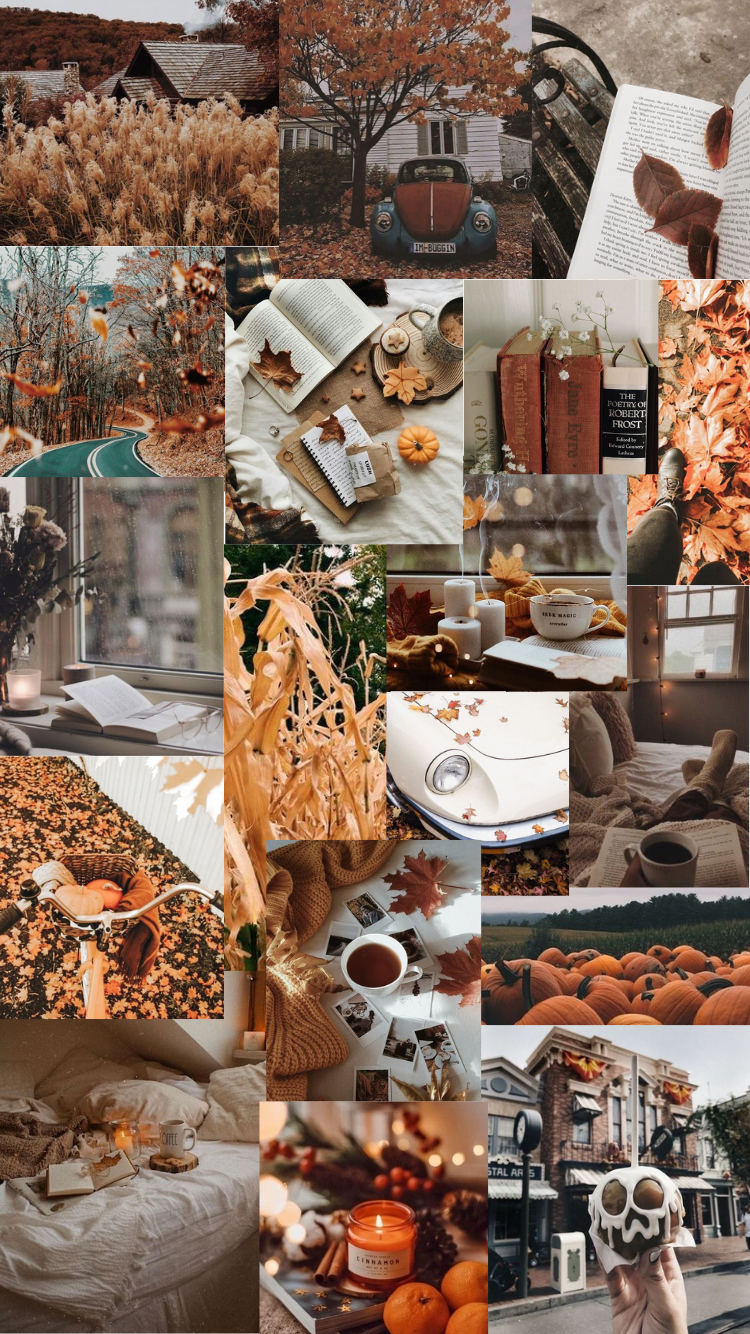 Fall Collage Wallpapers  Top Free Fall Collage Backgrounds   WallpaperAccess