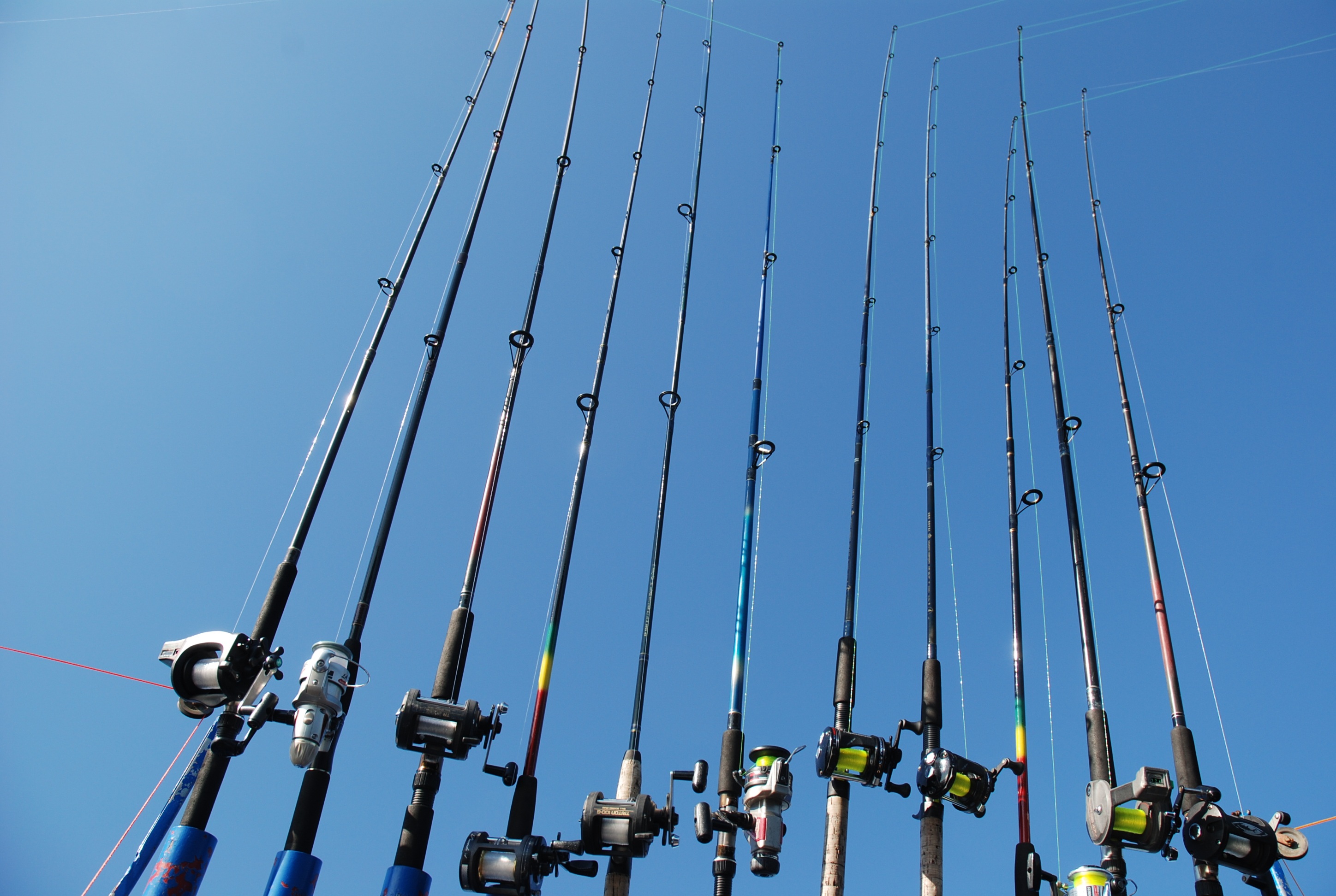 A row of fishing rods and reels HD Wallpaper
