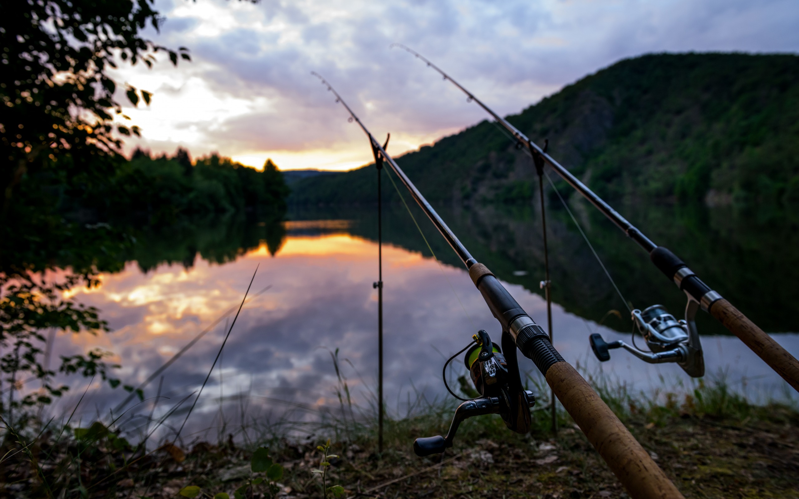 Download wallpaper fishing concepts, fishing rods, river, morning, Czech Republic, Vltava River for desktop with resolution 2560x1600. High Quality HD picture wallpaper