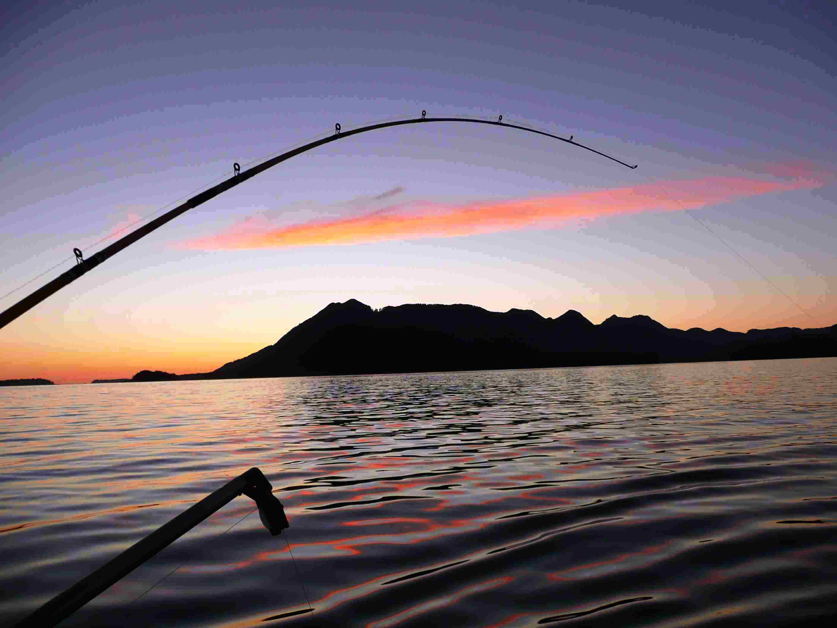 Free download Fishing Rods In Sunset Wallpaper Picture 275 Wallpaper with 2816x2112 [2816x2112] for your Desktop, Mobile & Tablet. Explore Fisherman Wallpaper Background. Fishing Wallpaper, Wallpaper Borders Fishing, Desktop Wallpaper Fishing