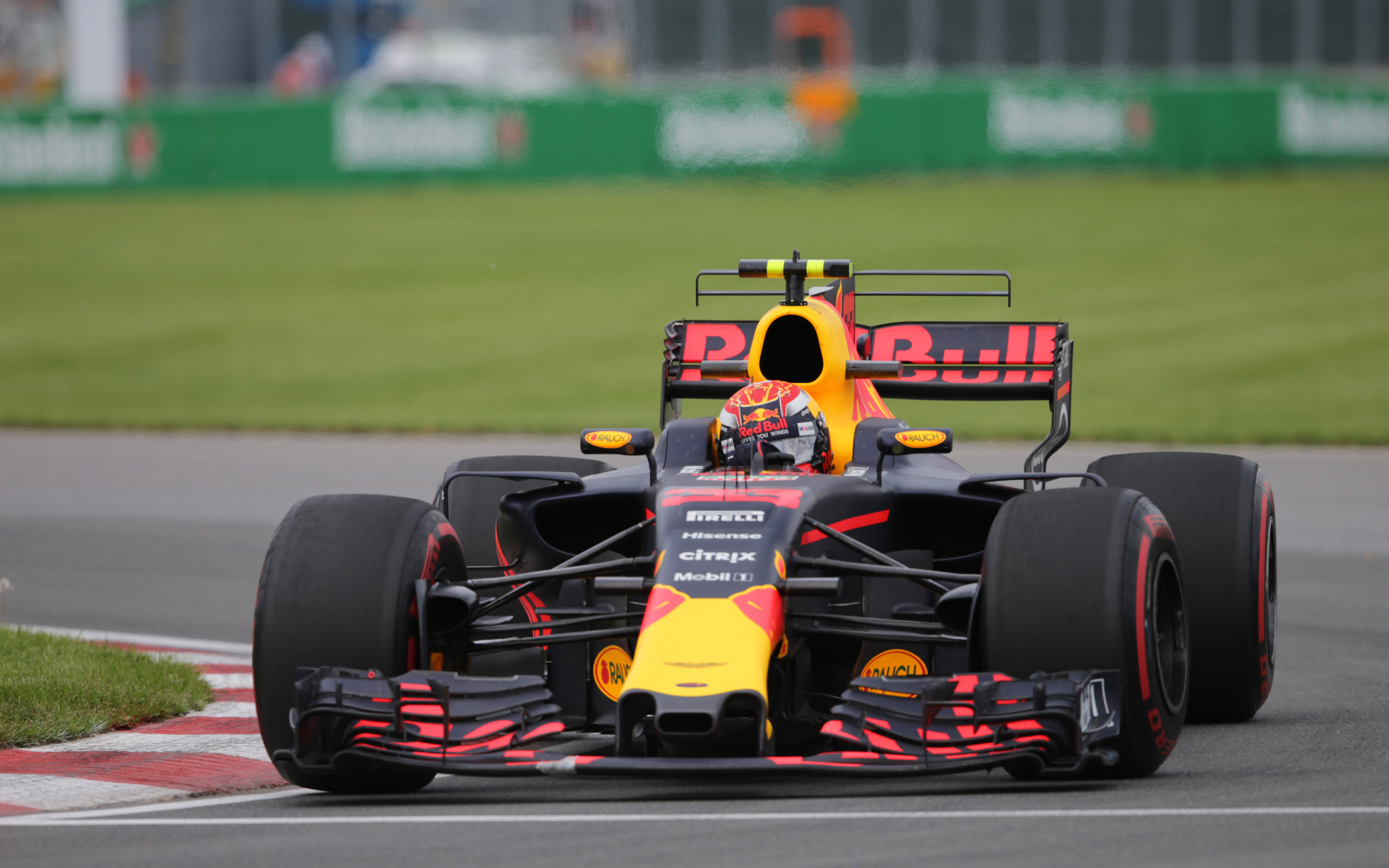 Max Verstappen, 4k, Red Bull Racing, Rb Formula Red Bull Max Verstappen