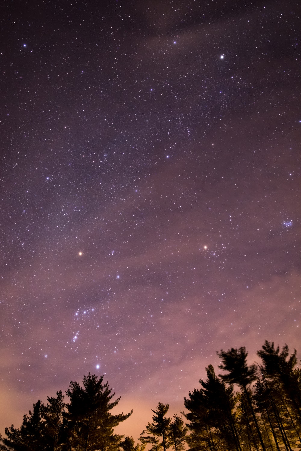 Orion Constellation Picture. Download Free Image