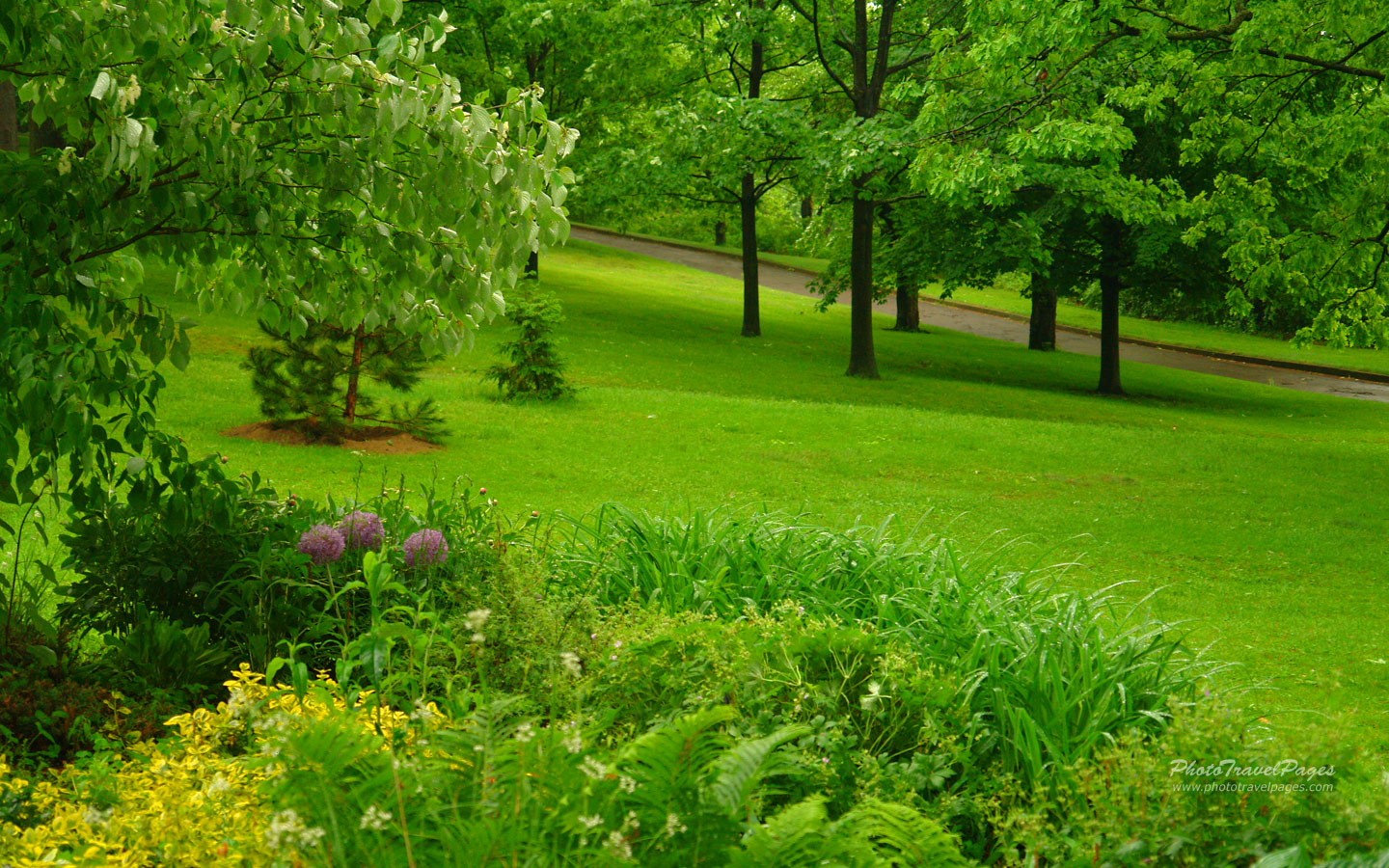 Free download Pin After A Late Spring Rain Wallpaper Size 1024x768 1280x1024 on [1440x900] for your Desktop, Mobile & Tablet. Explore Late Spring Wallpaper. Free Spring Desktop Wallpaper, Spring