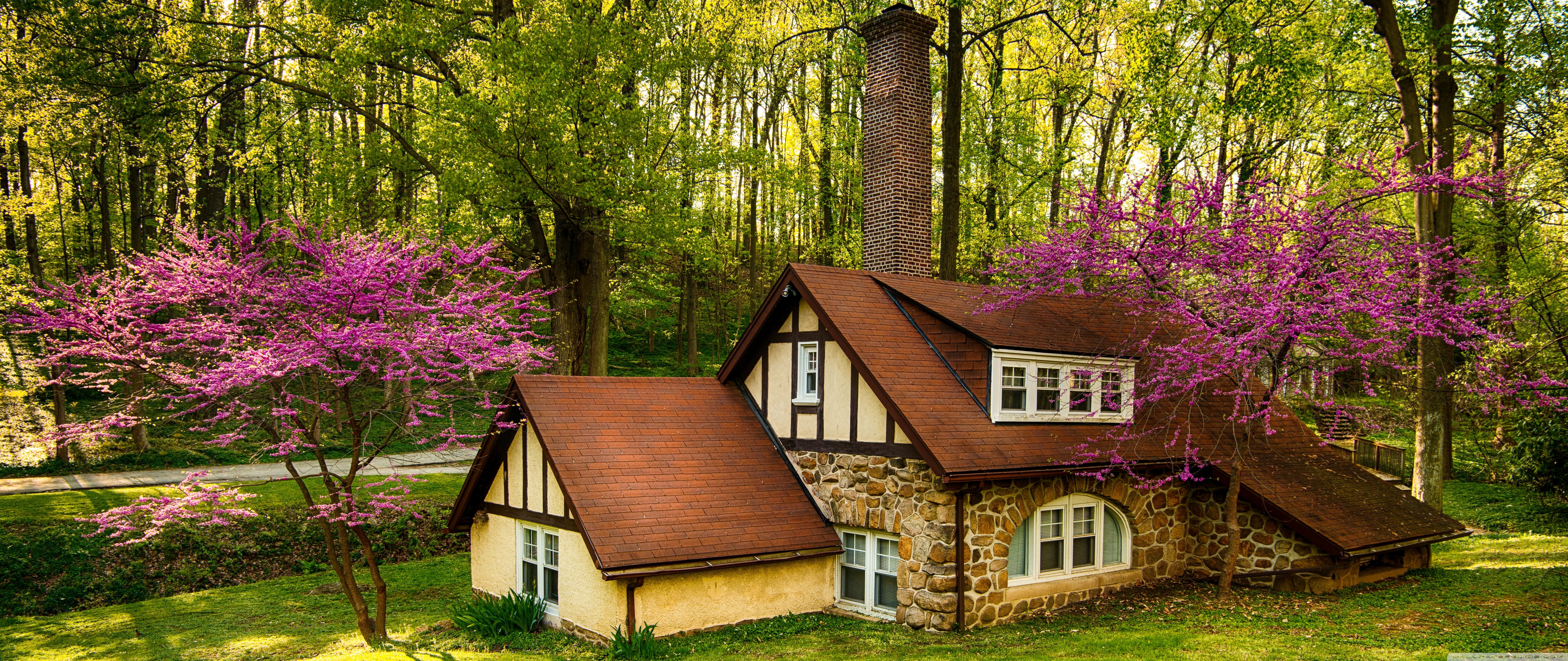 Beautiful Forest House, Spring Ultra HD Desktop Background Wallpaper for 4K UHD TV, Widescreen & UltraWide Desktop & Laptop, Tablet