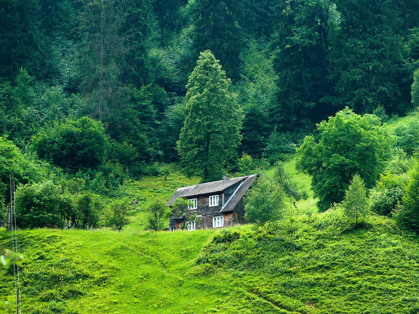 Download wallpaper 1400x1050 house, forest, summer, grass, solitude standard 4:3 HD background