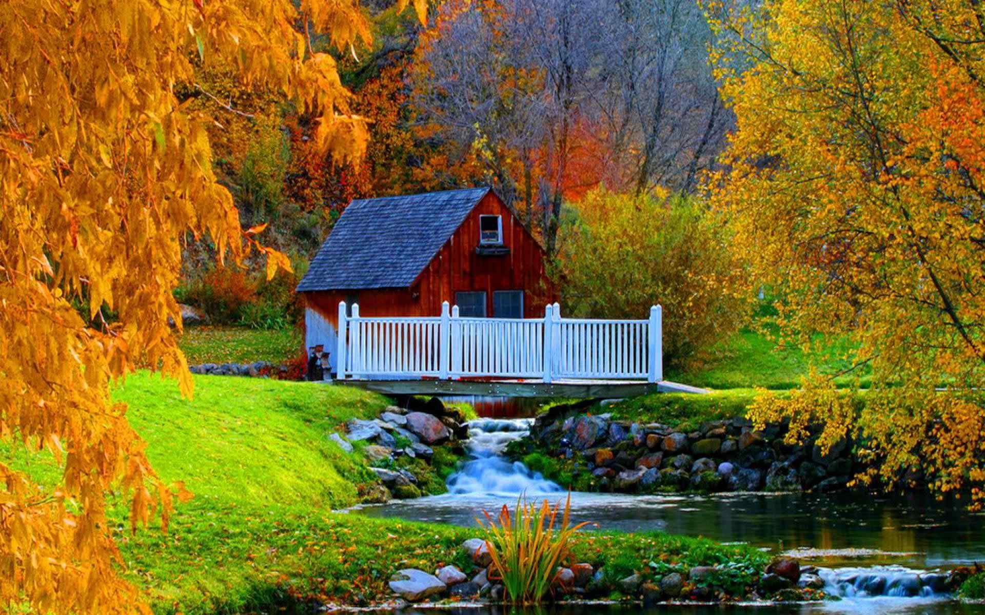 House in Autumn Forest Image
