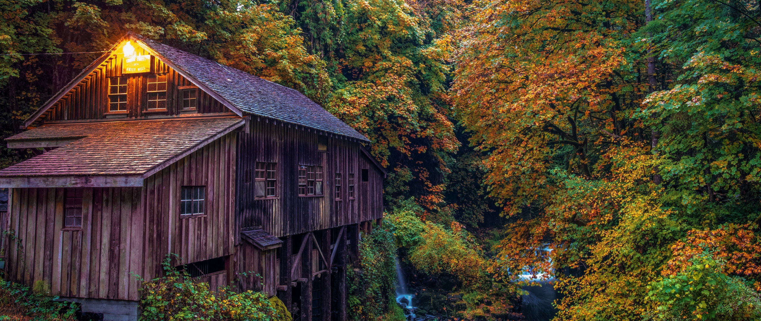 Desktop Wallpaper Forest, House, River, 5k, Nature, HD Image, Picture, Background, C35b0b