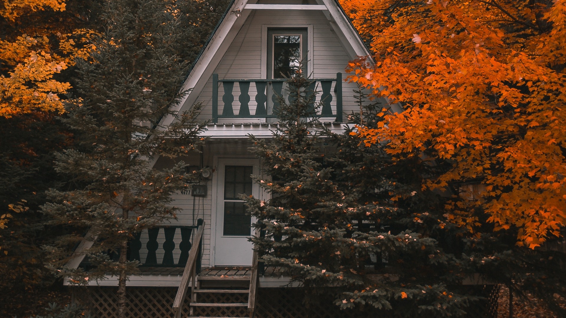 Autumn at the forest house HD Wallpaper iPhone 7 Plus / iPhone 8 Plus