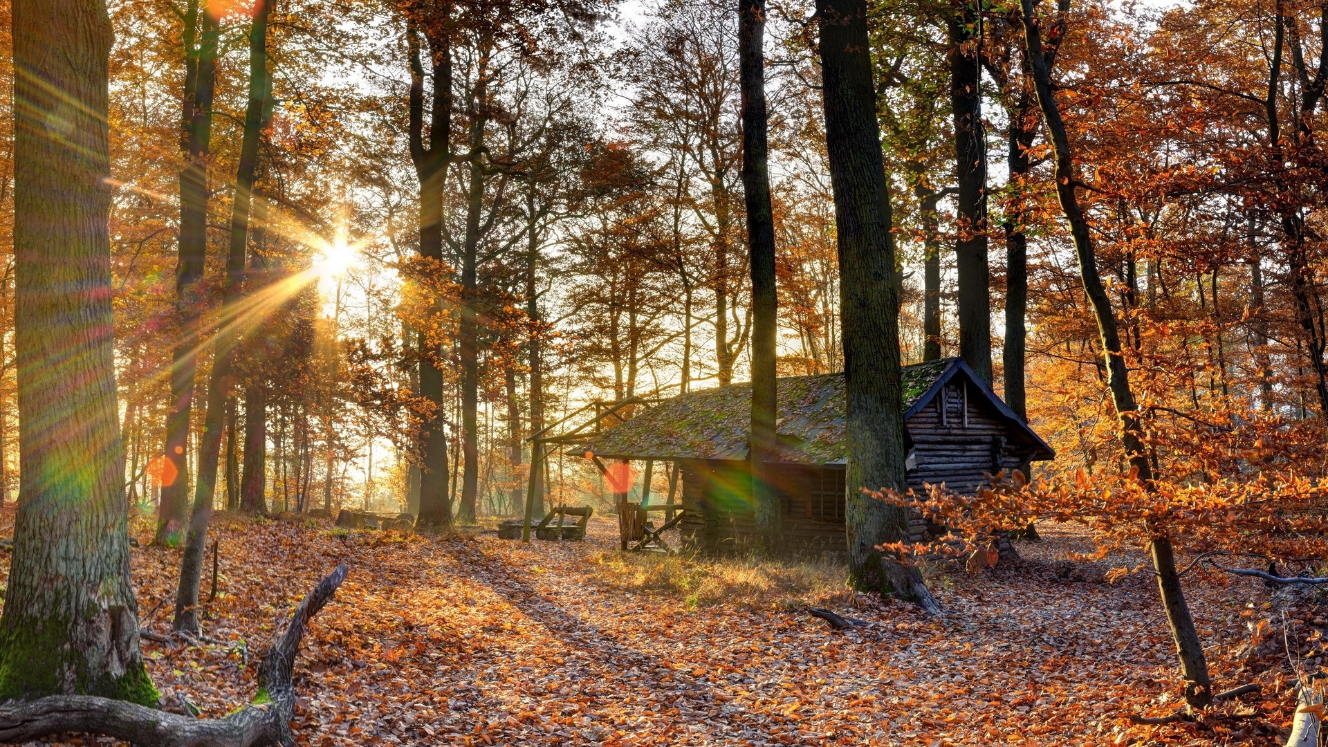 Autumn Forest House Wallpapers - Wallpaper Cave