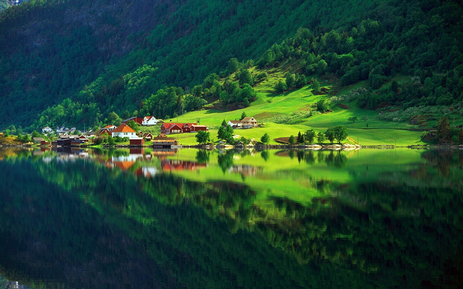 The nature of the lake greens of the summer forest home village