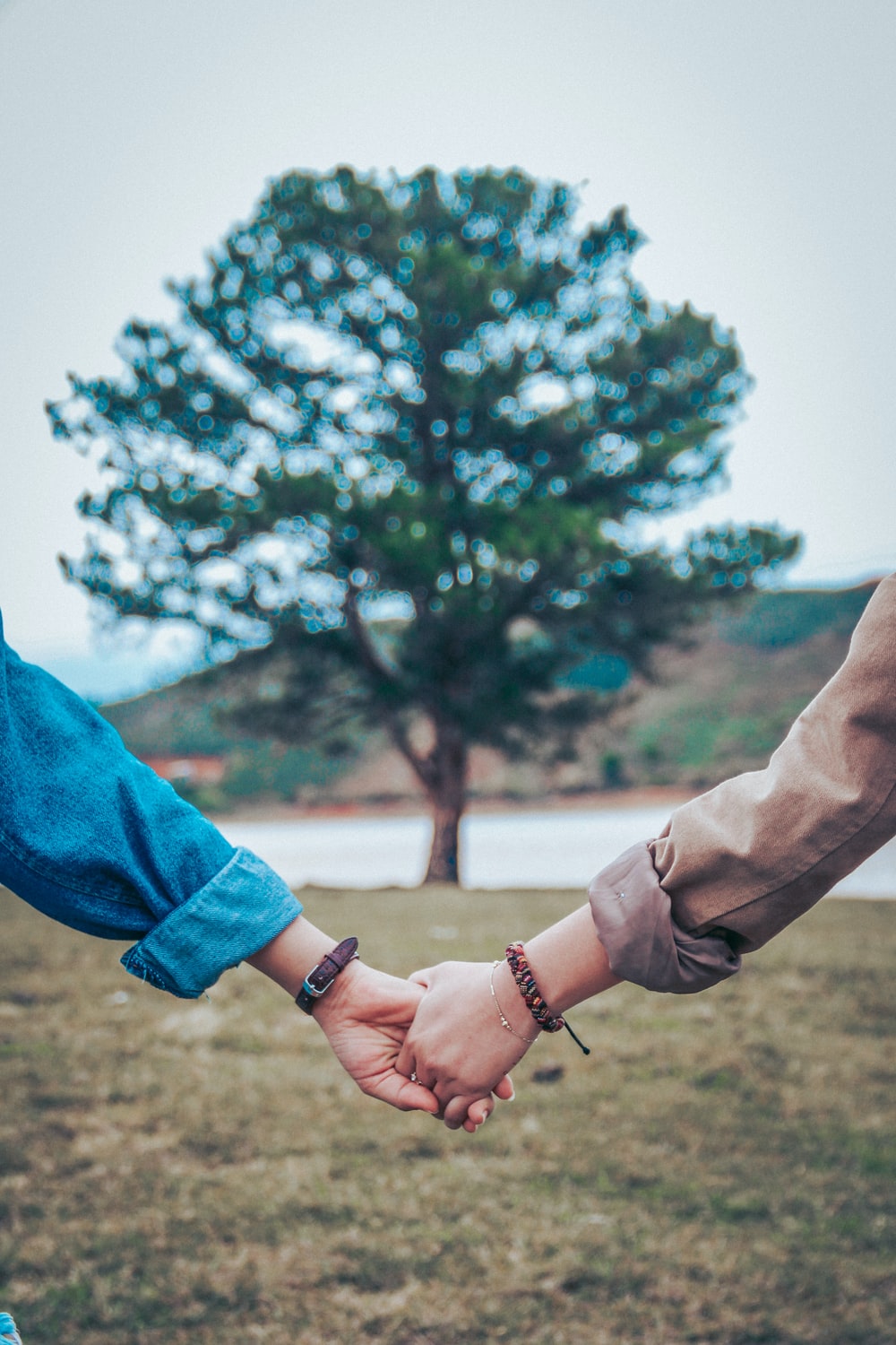 Couple Holding Hands Picture. Download Free Image