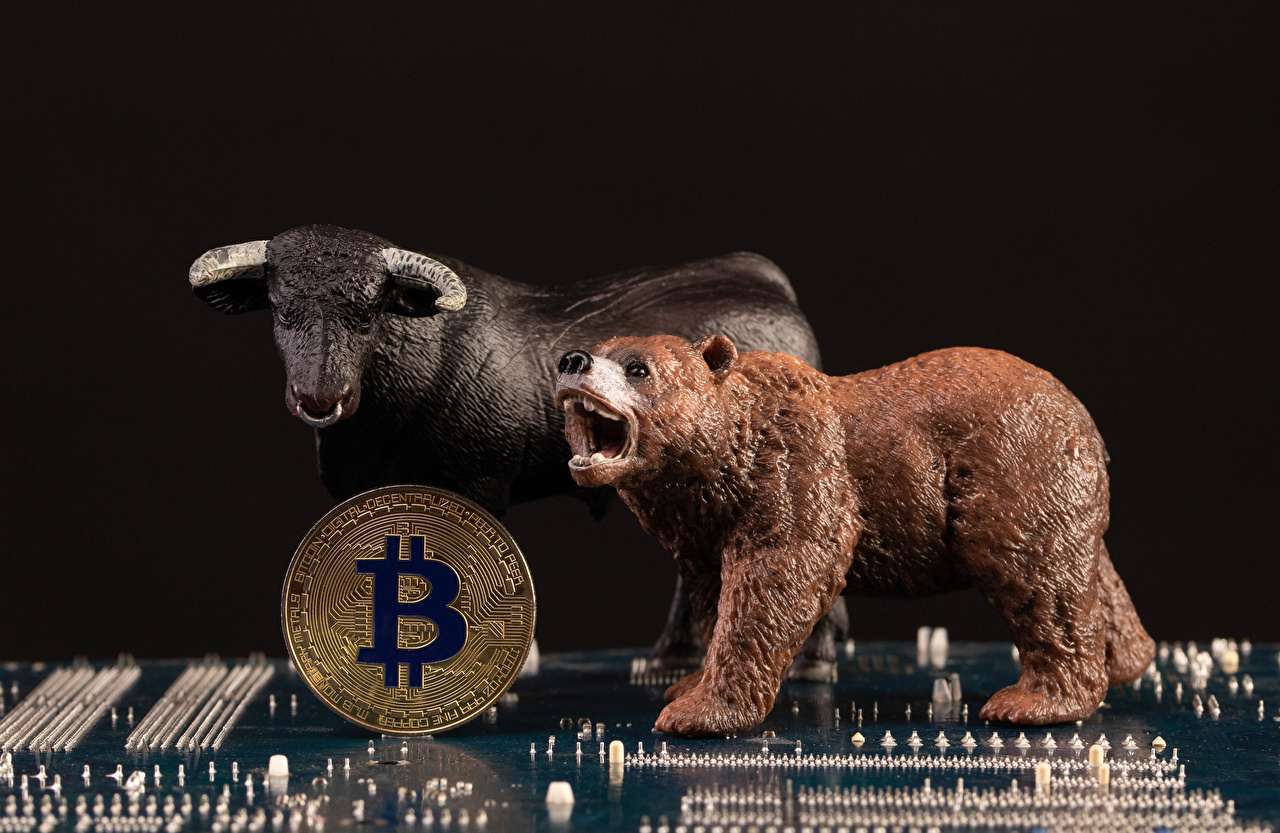 Photos Coins Bulls Bitcoin bear Black background