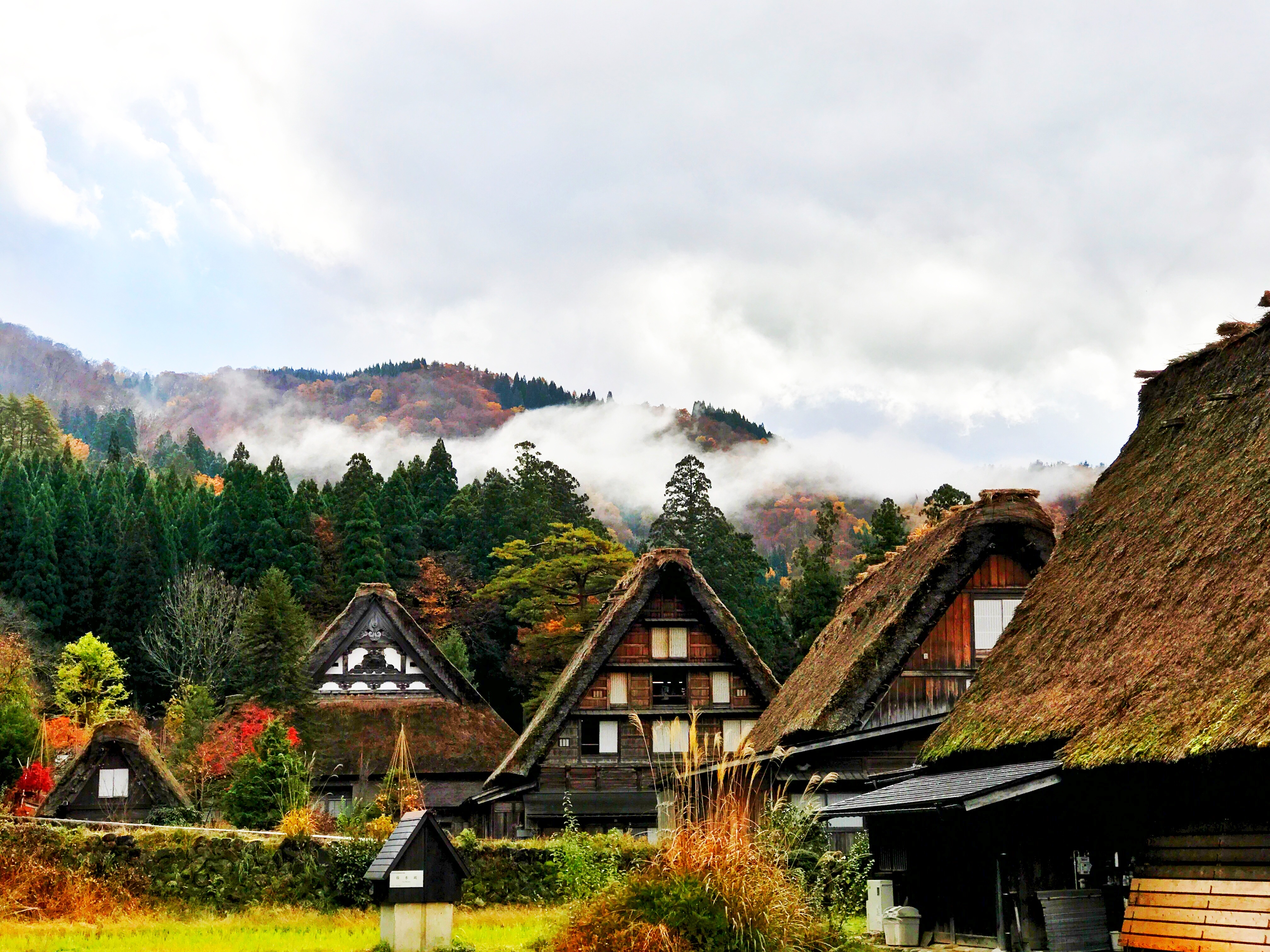 Wallpaper, Japan, trees, mountains, Tourism, village, vacation, tree, autumn, mountain, flower, houses, rural area, shirakawa 4032x3024