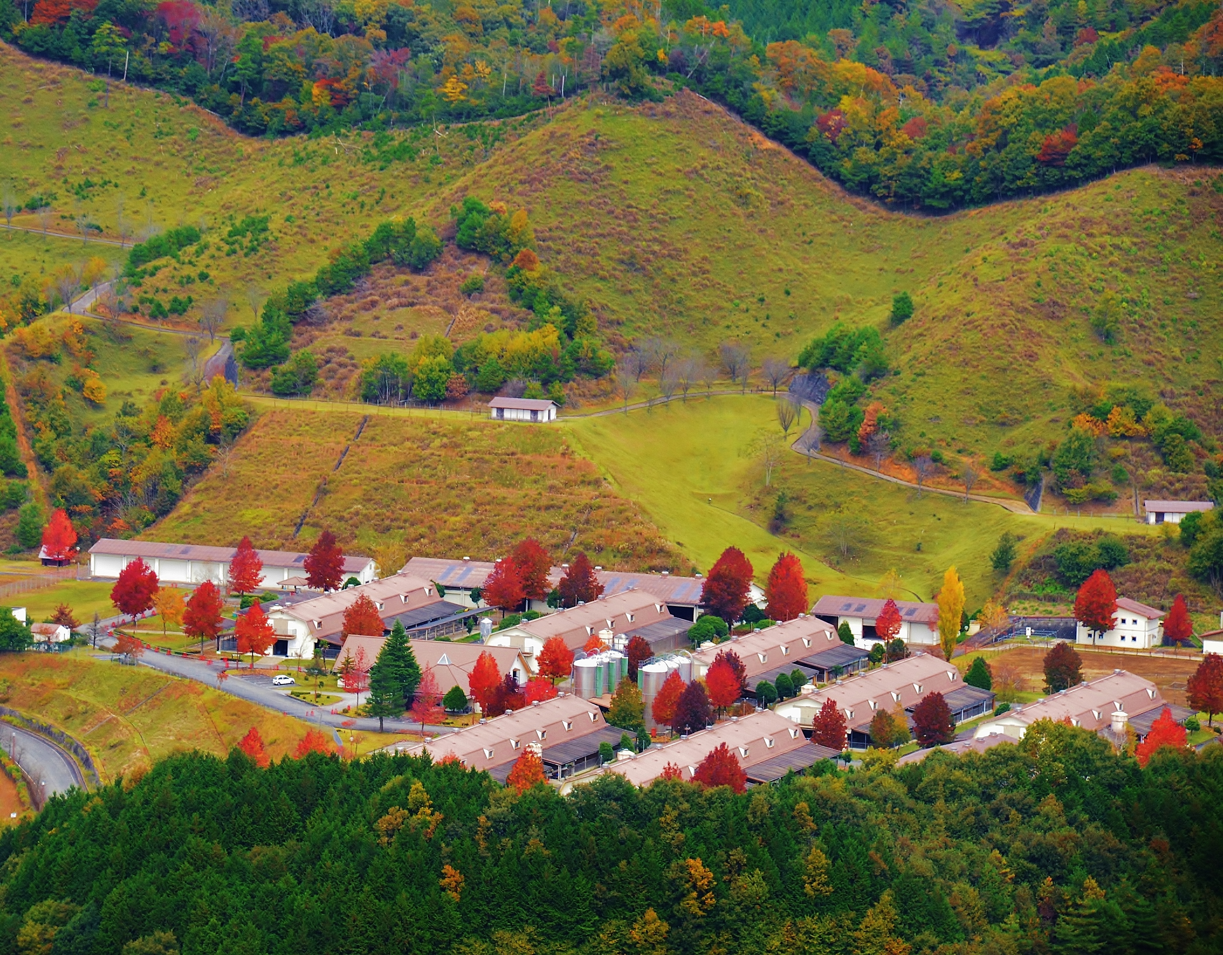 Wallpaper, nature, Japan, village 4181x3264