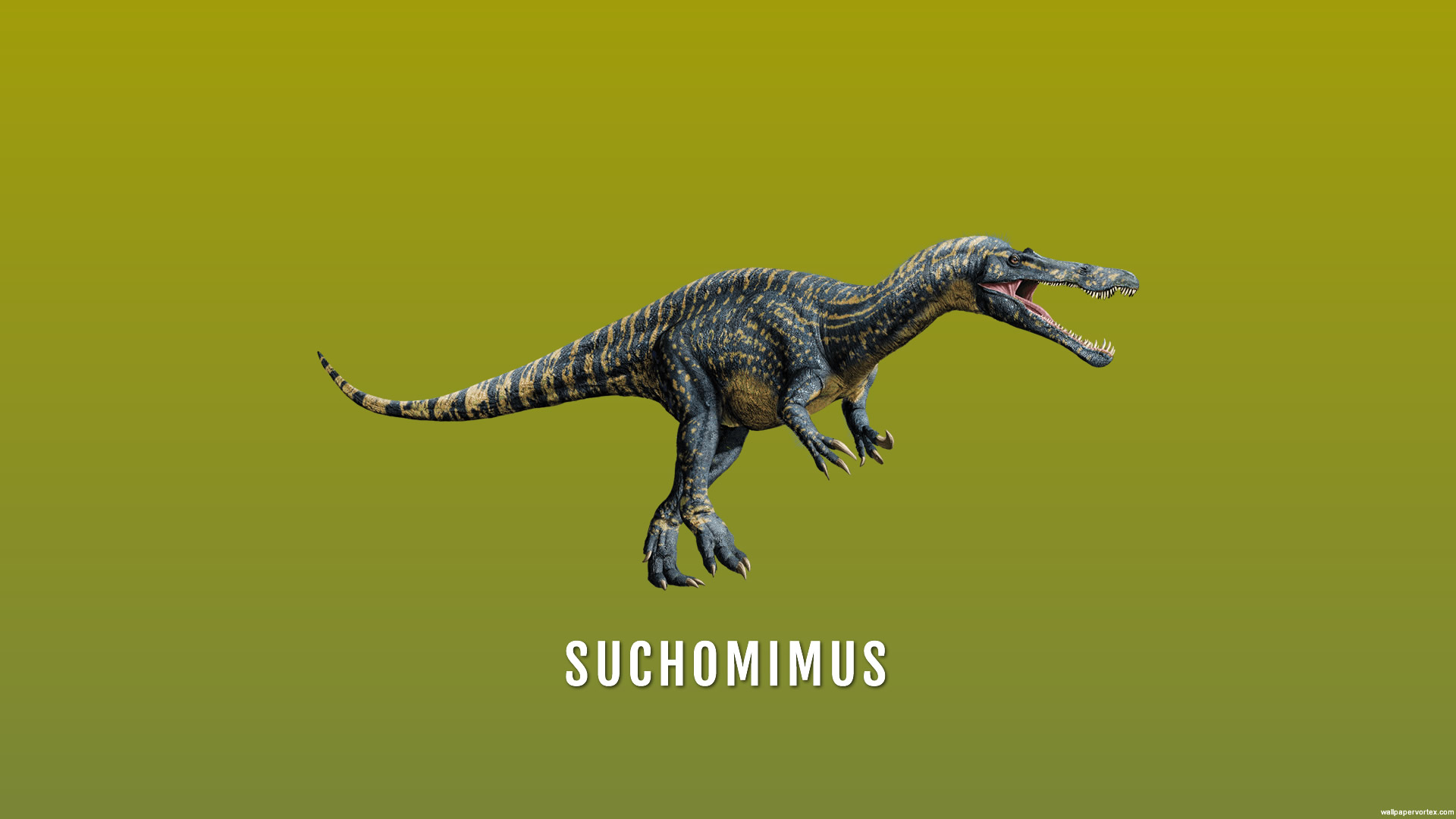 Suchomimus HD Wallpaperx1080