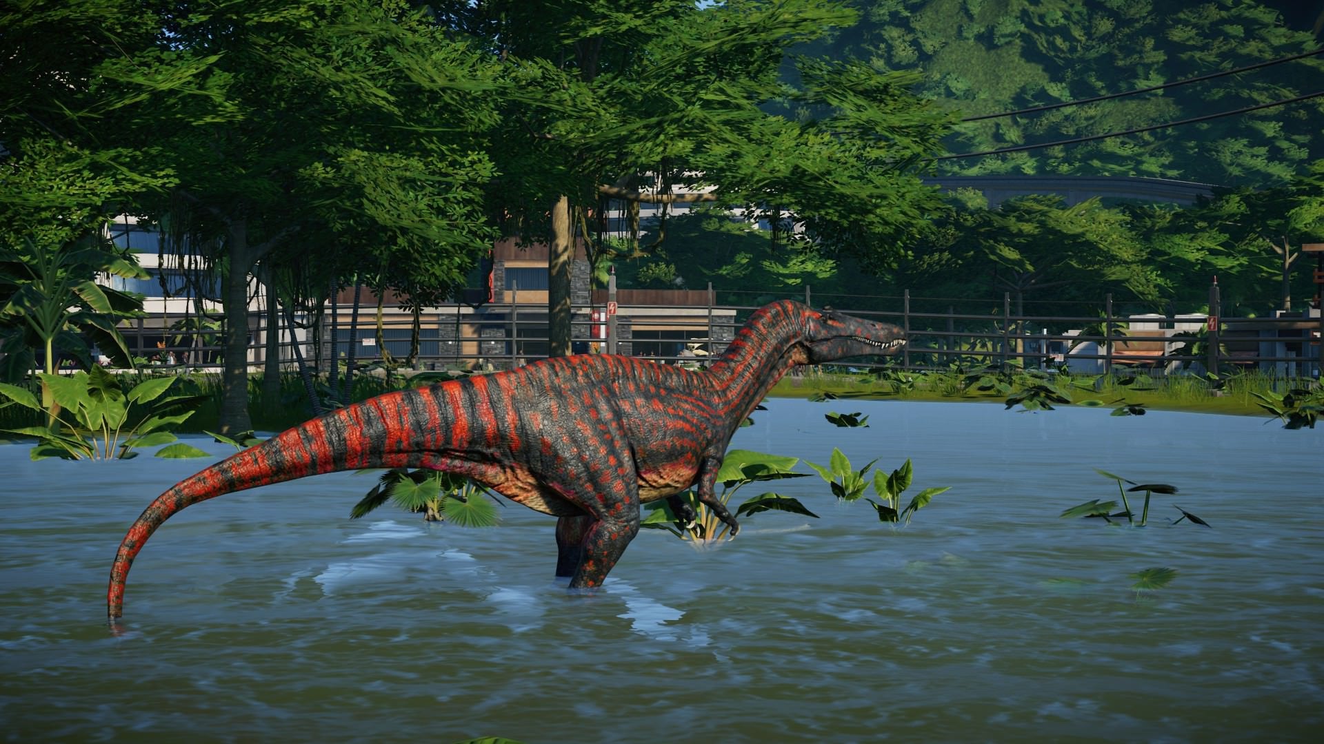 I defy anyone to tell me the jungle suchomimus is not the best looking creature in the game: jurassicworldevo